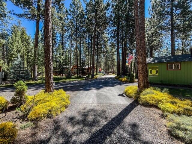 Ponderosa Pines - Residential