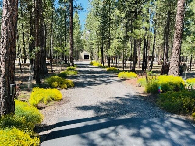 Ponderosa Pines - Residential
