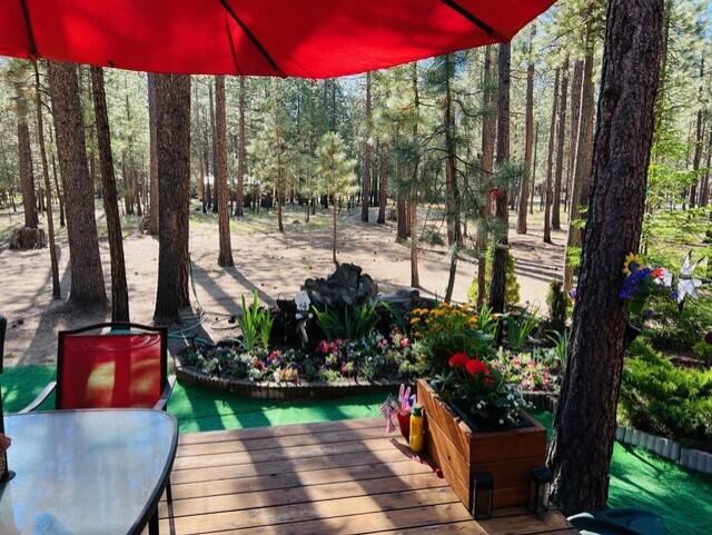 Ponderosa Pines - Residential