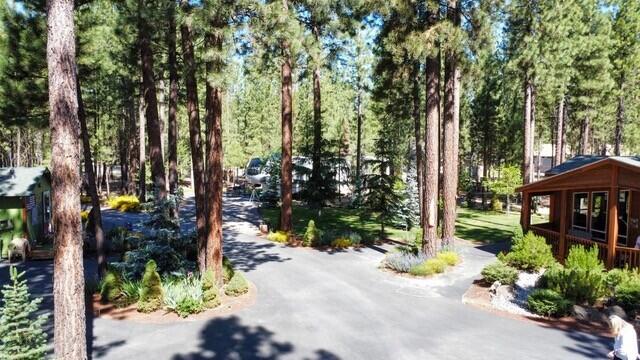 Ponderosa Pines - Residential