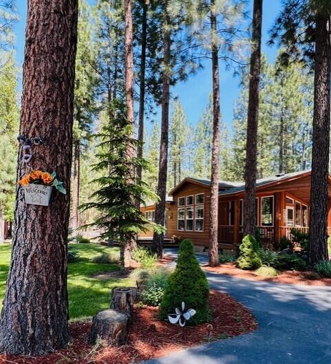 Ponderosa Pines - Residential