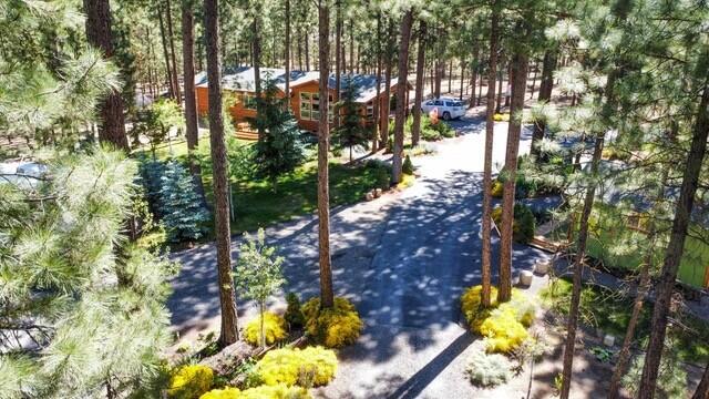 Ponderosa Pines - Residential