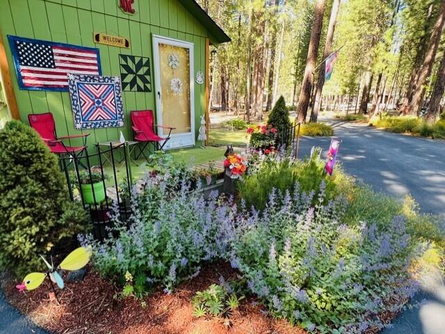 Ponderosa Pines - Residential