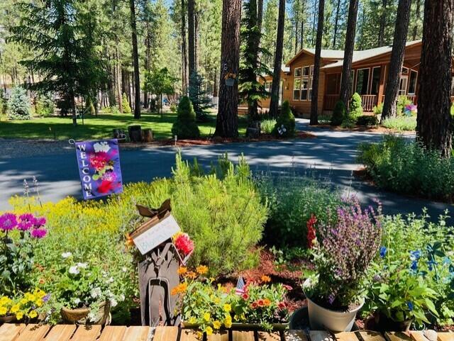 Ponderosa Pines - Residential