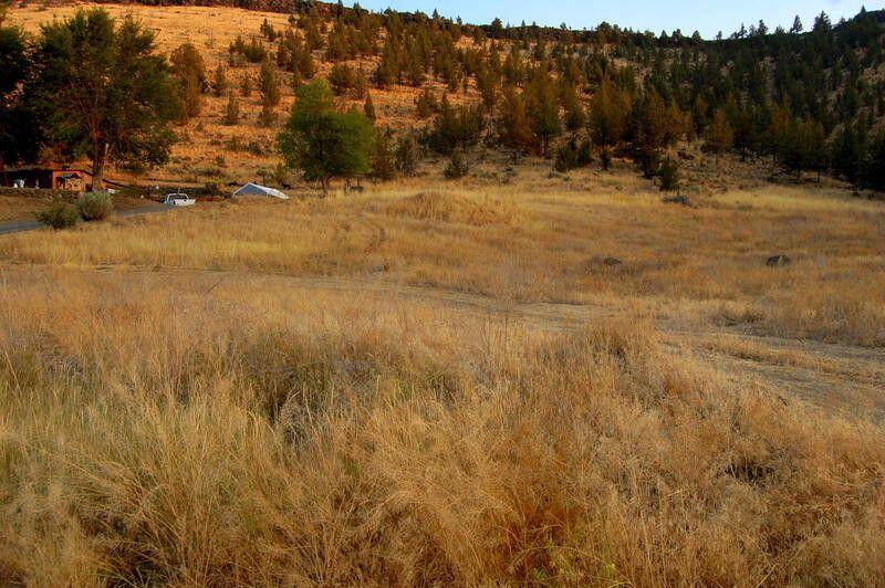 Terrific opportunity to build your dream home on this gently sloping 1.15 acre lot with views of Meadow Lakes golf course. TL 7600 (1.15 Ac) is also available for sale at $125,000 so you could combine and have 2.30 acres. Very private location and just a short drive to downtown Prineville.
