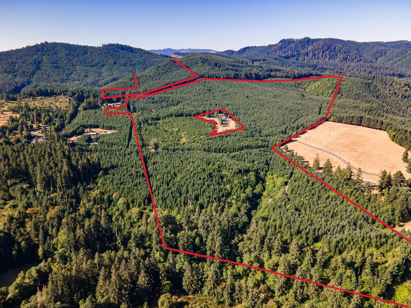 BID SALE
+/-178 acres of generational, family-owned timberland just outside of Drain, OR. This well-managed tree farm offers long-term investment value, near-term income potential, and natural beauty. Set in a quiet area with public and private road access, the property also includes a network of well-built and maintained interior roads, allowing for efficient access throughout.

The land features primarily Douglas-fir on Site Class III soils. Staggered age classes provide a reliable flow of future harvests: +/-106 acres planted in 2006, following subsoiling believed to enhance early growth and stand productivity. ±38 acres were planted in 2012, with roughly 35 acres dating to 1990. The mix of stand ages offers sustainable, phased harvests over the short, mid, and long term. Roughly 90% of the acreage is suitable for ground-based logging.

See Prospectus for more info. Buyers responsible for completing due diligence prior to bid date. Bid considerations start at $1.1 million.