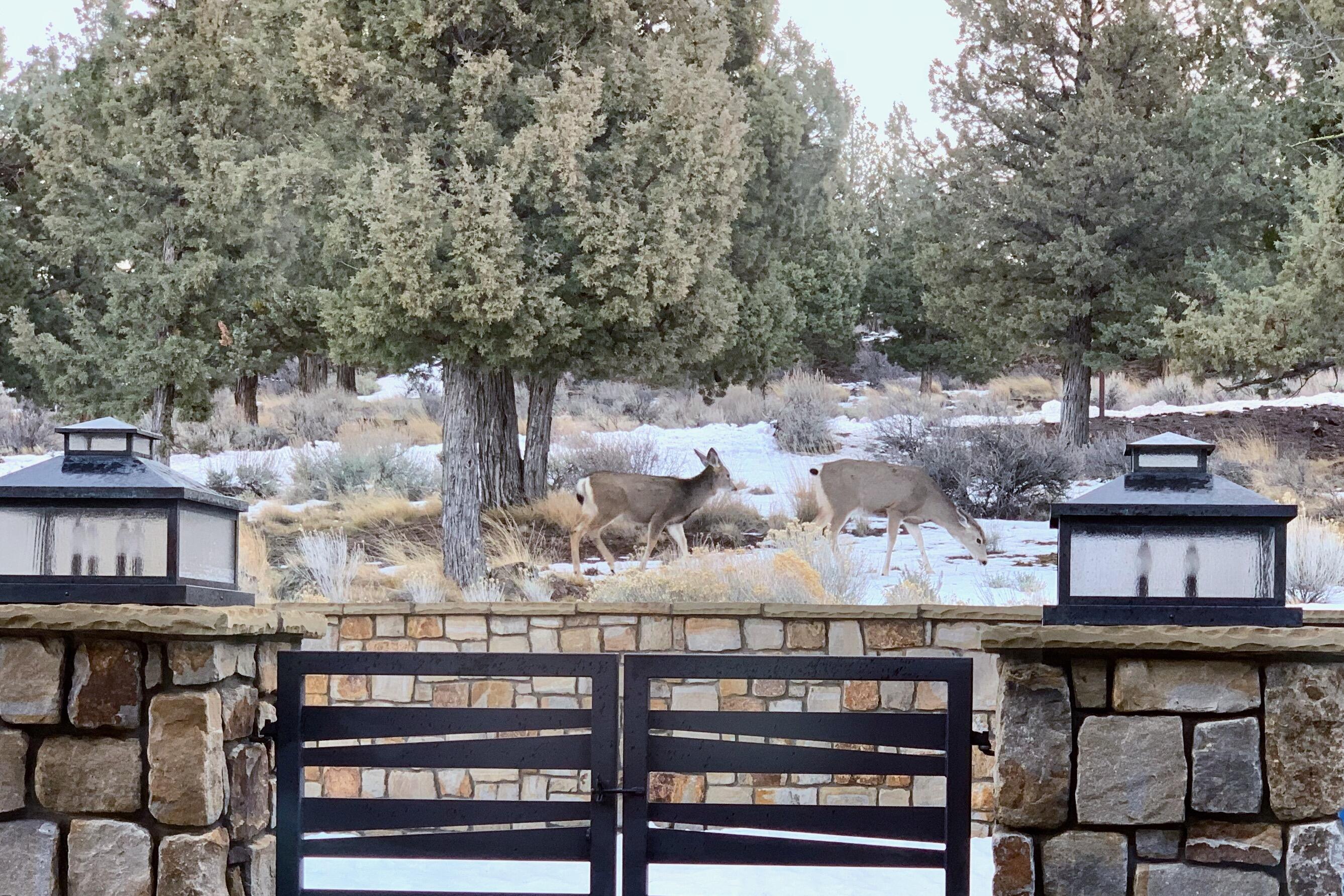 North Rim - Residential