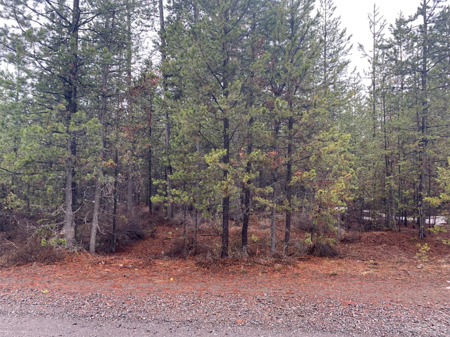 Level Lot easy to build! Great opportunity to live near town and have privacy. Manufactured home are allowed. NO HOA fees. Well installed but dry at 19ft will need to be drilled to 50ft for water. Septic will need to be a ATT w/ Sand Filter system as per the county. Original septic not approved nor ever used. Buyer to verify with the county.
