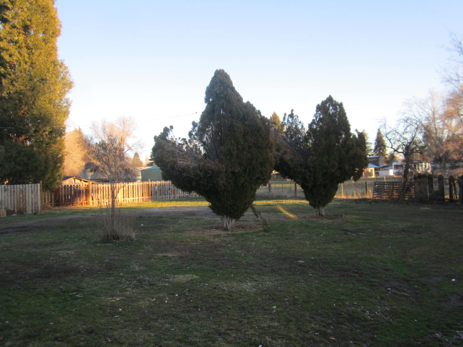 Altamont Acres - Residential