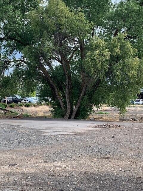 Level, Commercial Mixed Use .83 Acre lot in Timbermill Shores is available. Located at the corner of 4th Street and Sydney Way (which looks like a continuation of Walnut to the South). According to the Timbermill Shores Development video, https://youtu.be/RxmrQF-Ney8 this lot is part of a 50 acre mixed use development in it's 2nd phase. Geothermally heated sidewalks, streets and utilities at the street were part of phase 1. Convenient to downtown, this lot offers many potential uses including offices, restaurants and condominiums. Convenient to shopping, dining, walking trails, theaters, motels, lake and Veteran's Park. Potential buyers are encouraged to satisfy self regarding allowed uses and availability of utilities including geothermal.