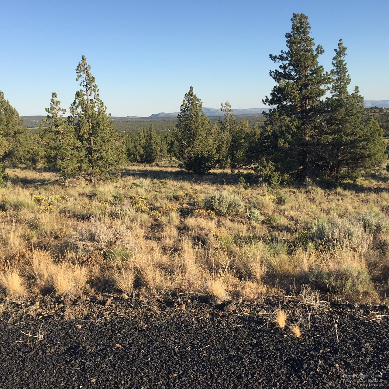 Build your custom dream home on this 5 acre lot in beautiful Longhorn Ridge gated community within minutes of Prineville Reservoir. This lot is located on a cul-de-sac with nice terrain views. BLM land is in subdivision for your use.