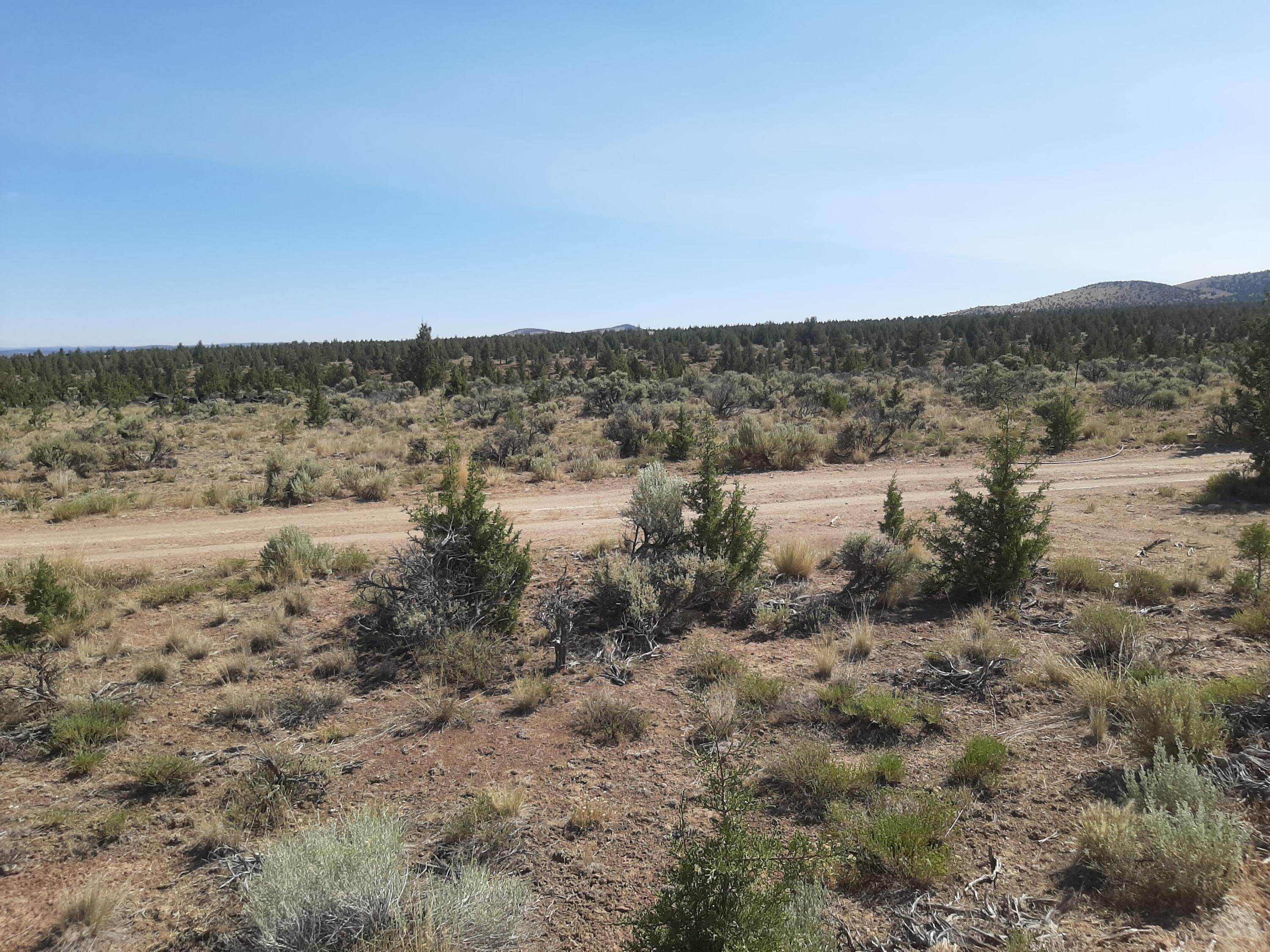 Juniper Acres - Land