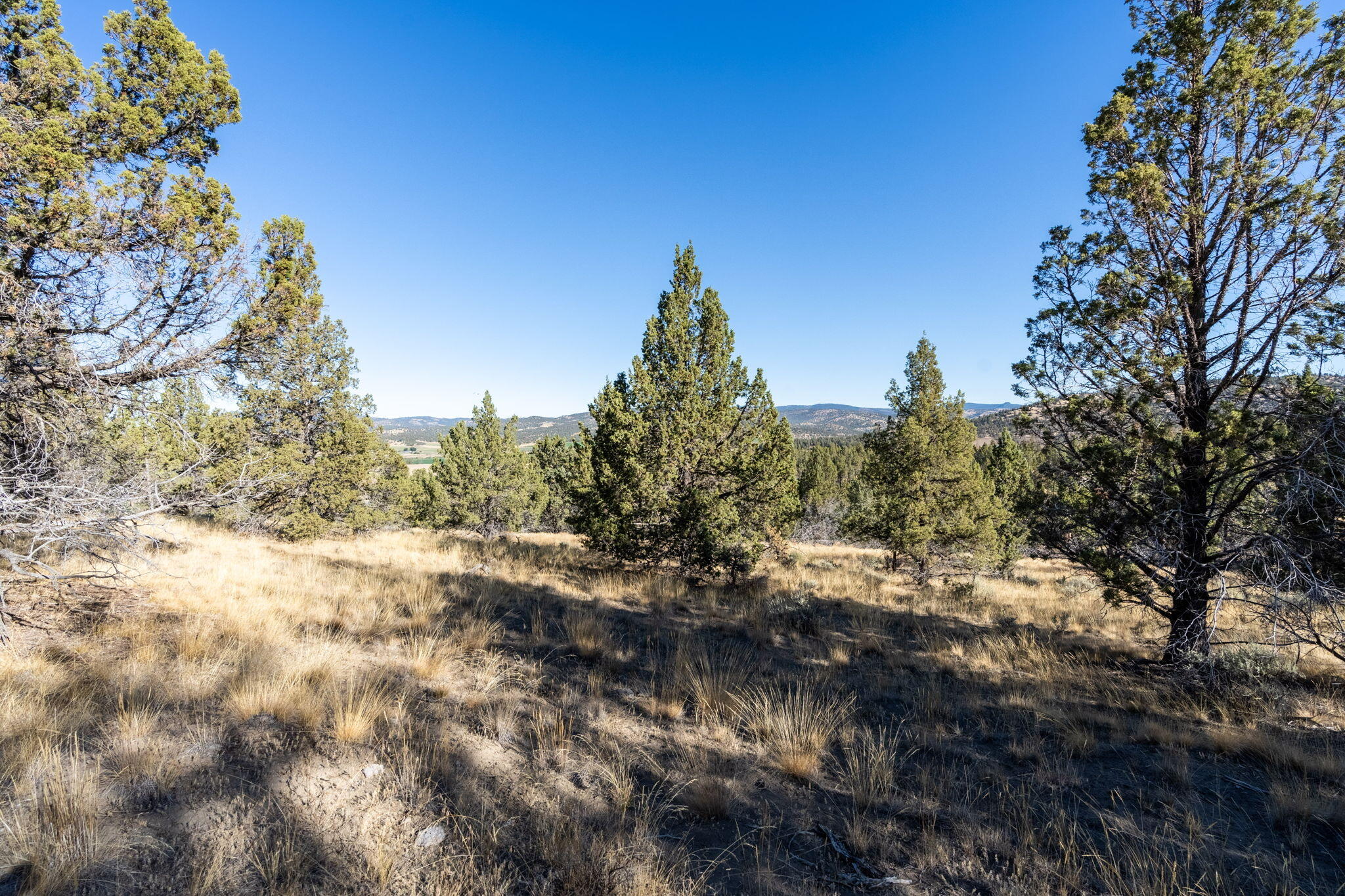 CLACC - Land