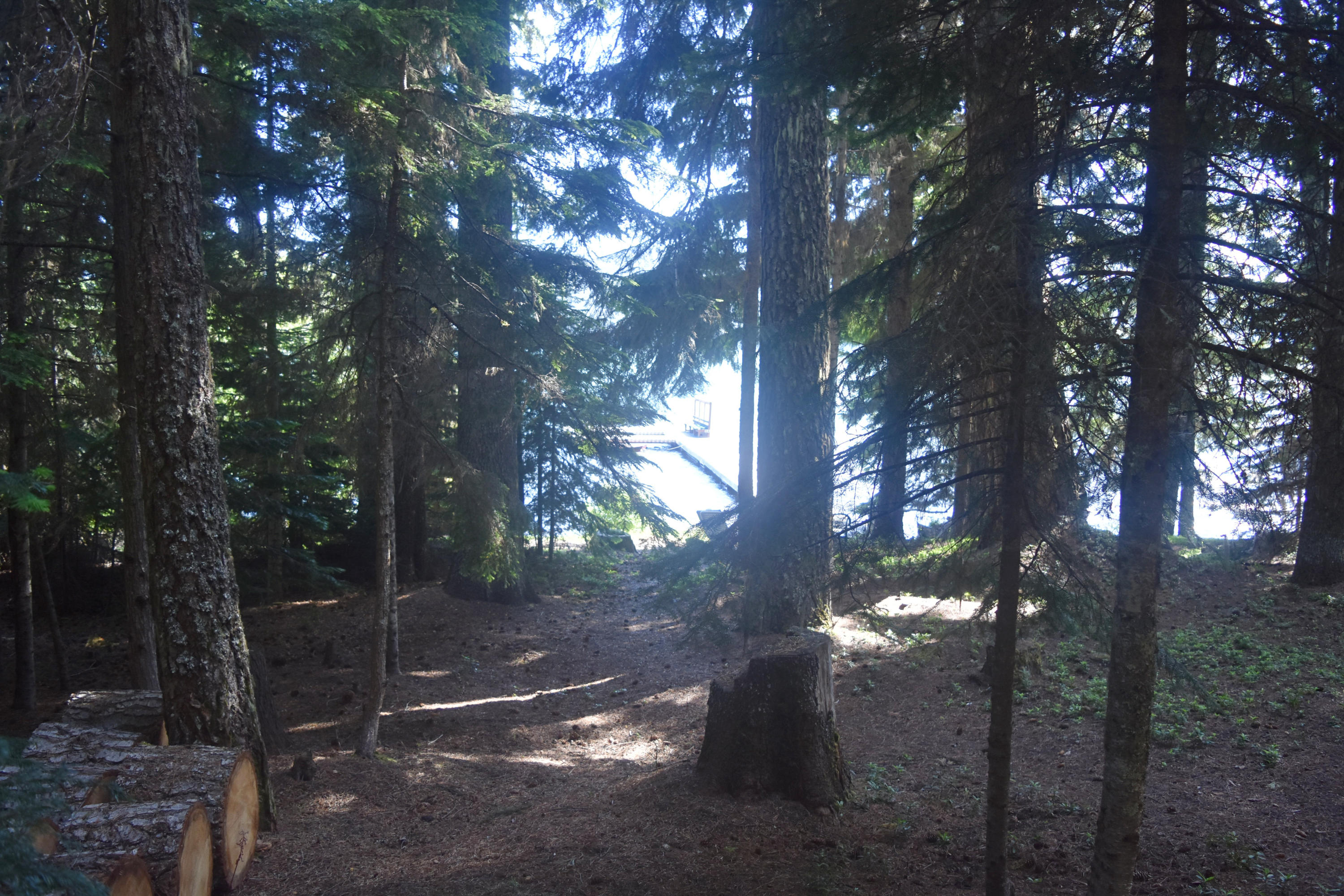 Odell Lake - Land