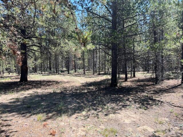 Woodland Park - Land