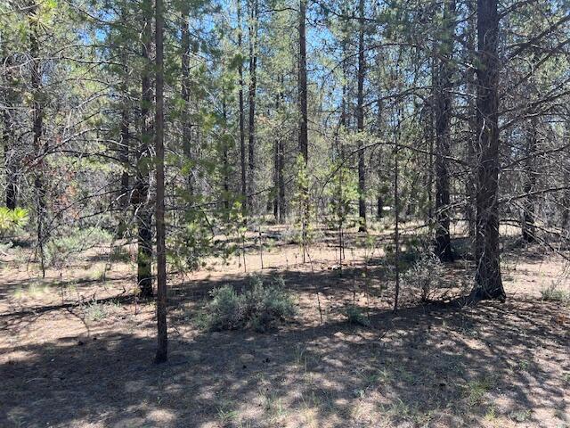 Woodland Park - Land