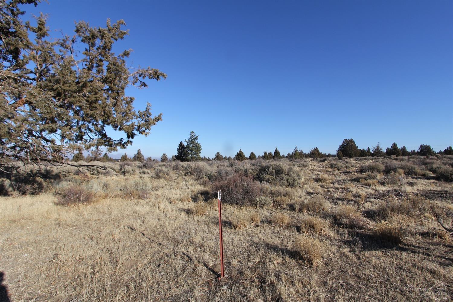 Rare opportunity to own 10 plus acres close to town. Potential mtn views. Adjacent Property listing #201800007 is also for sale