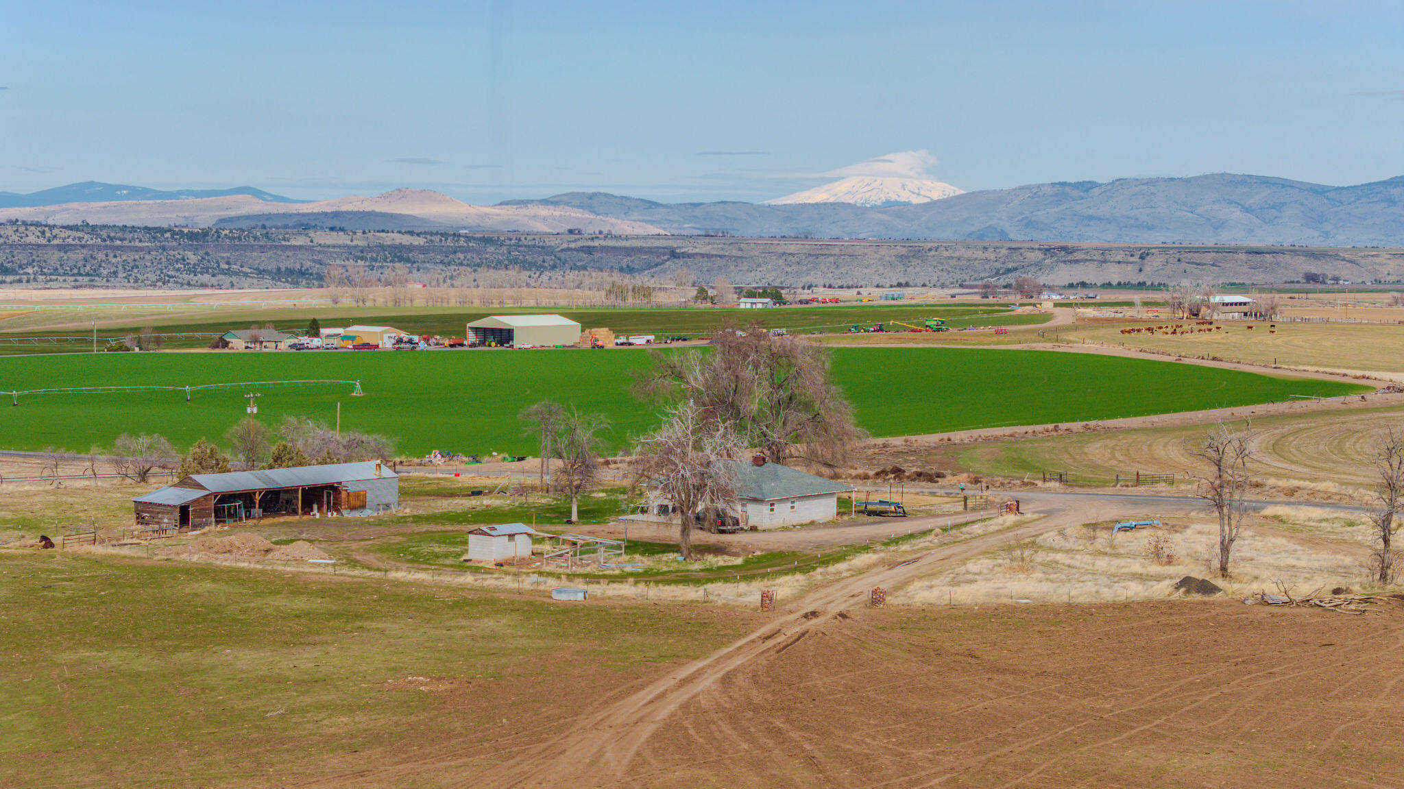 N/A - Farm