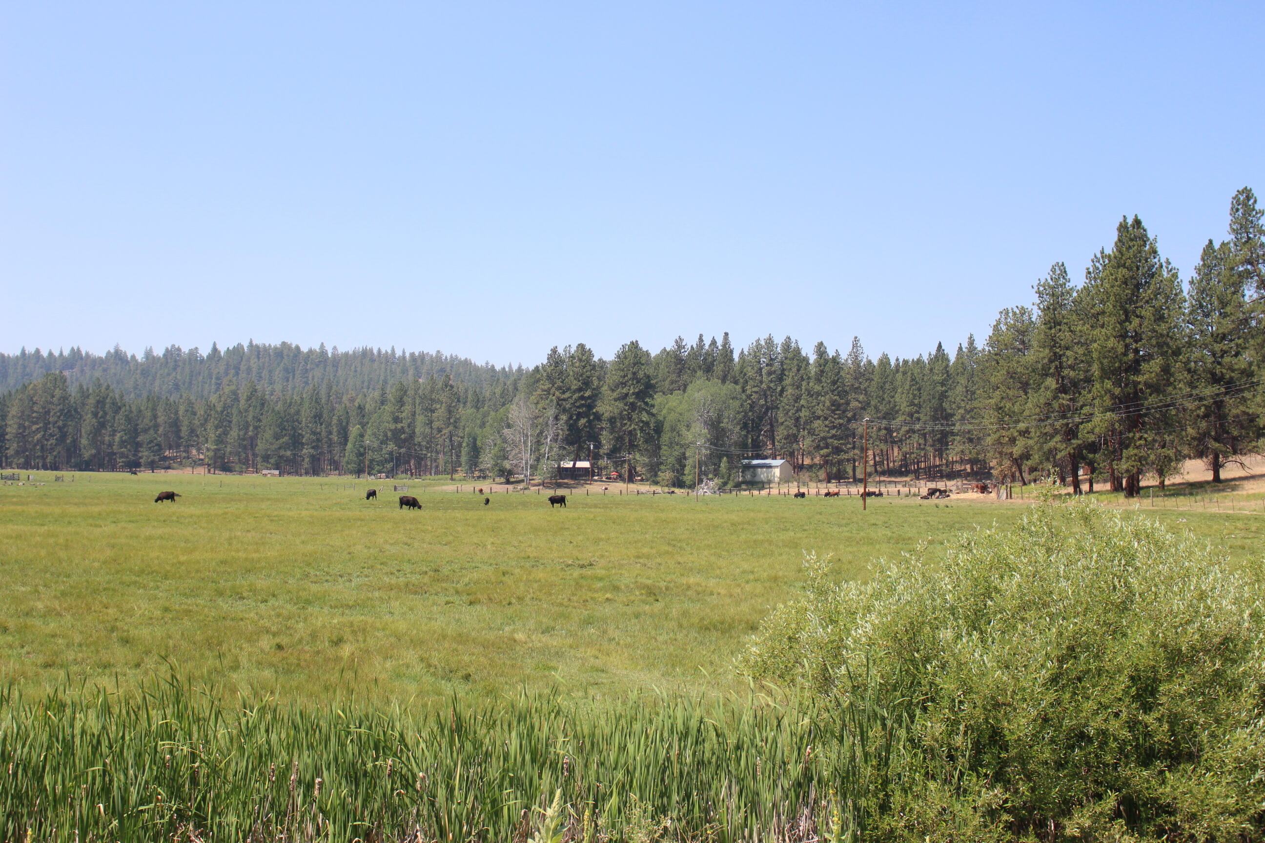 Chiloquin - Farm