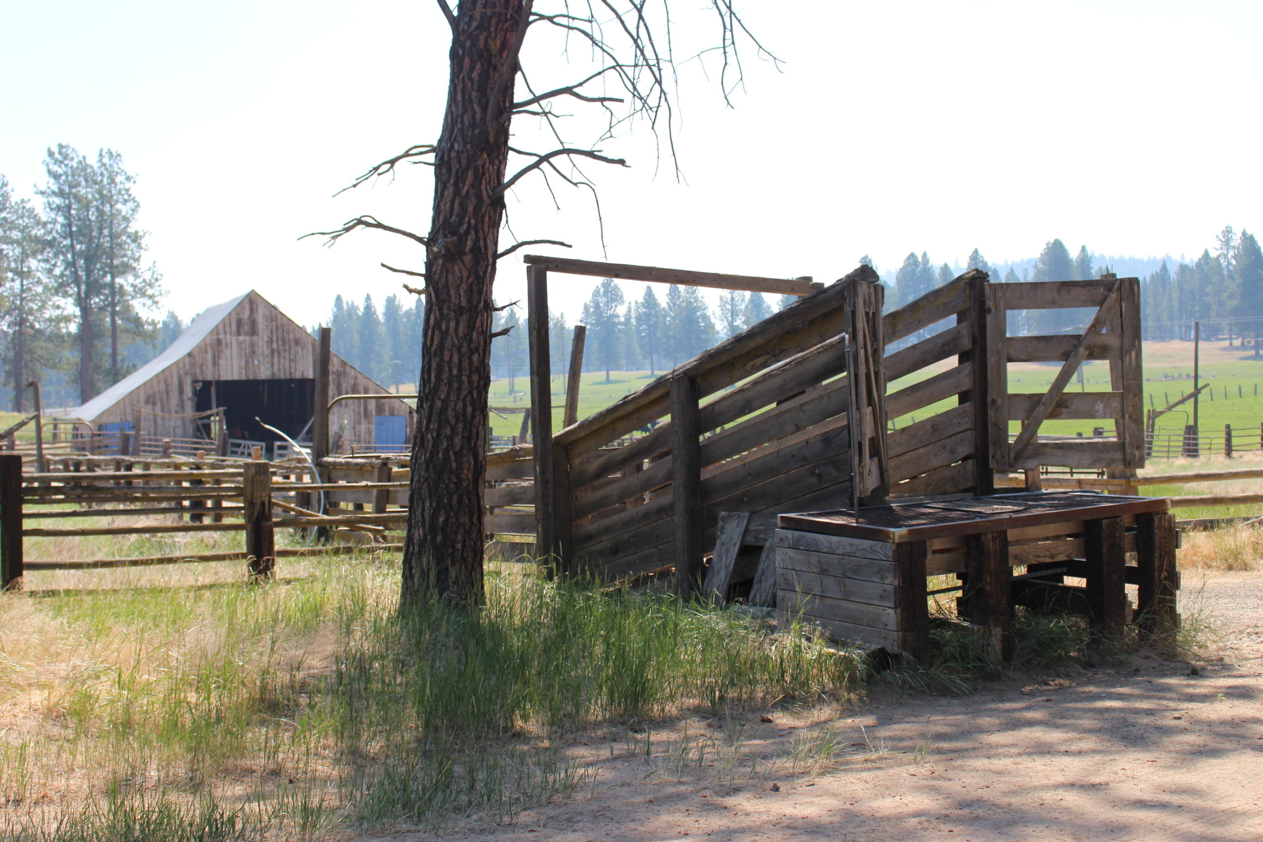 Chiloquin - Farm
