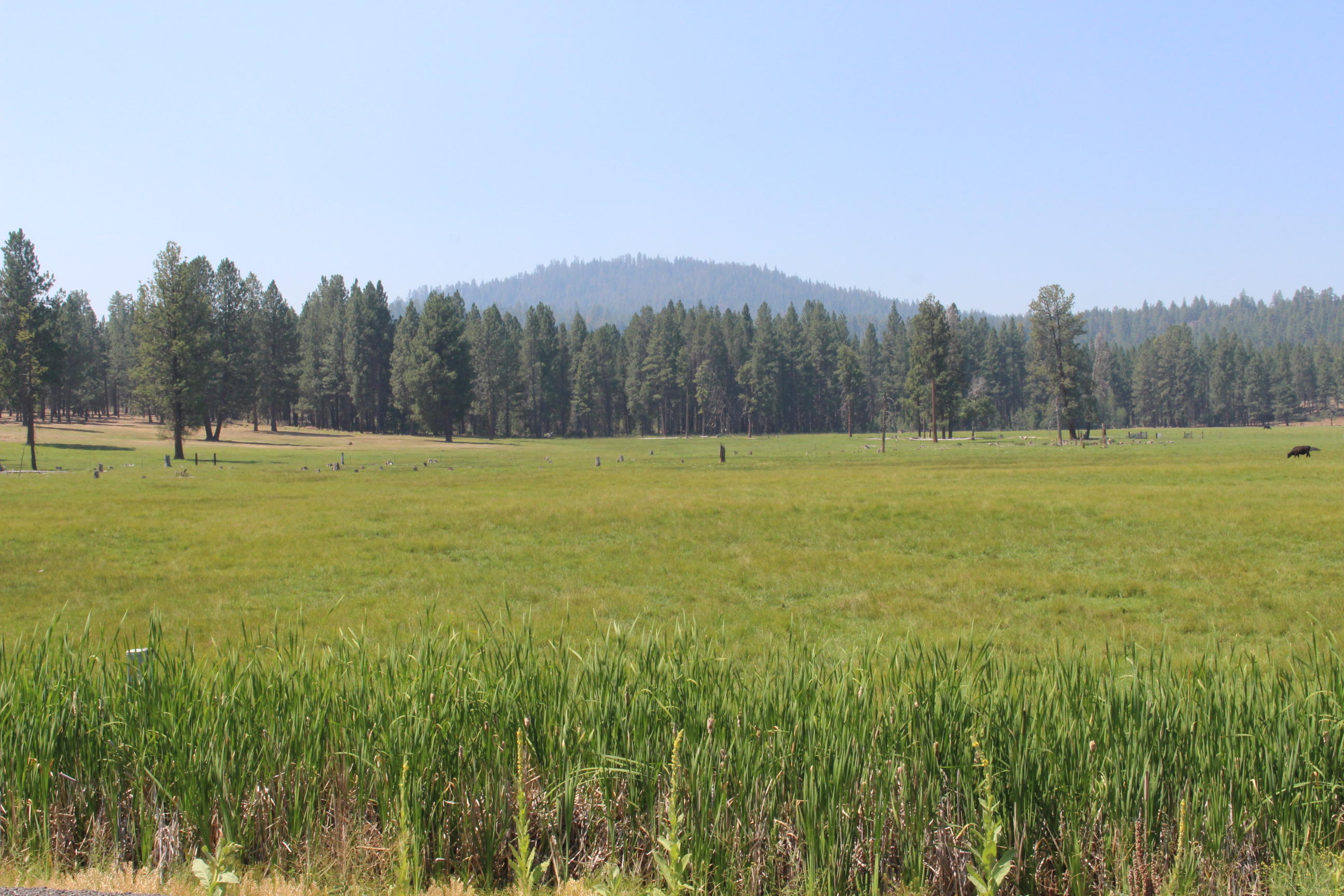 Chiloquin - Farm