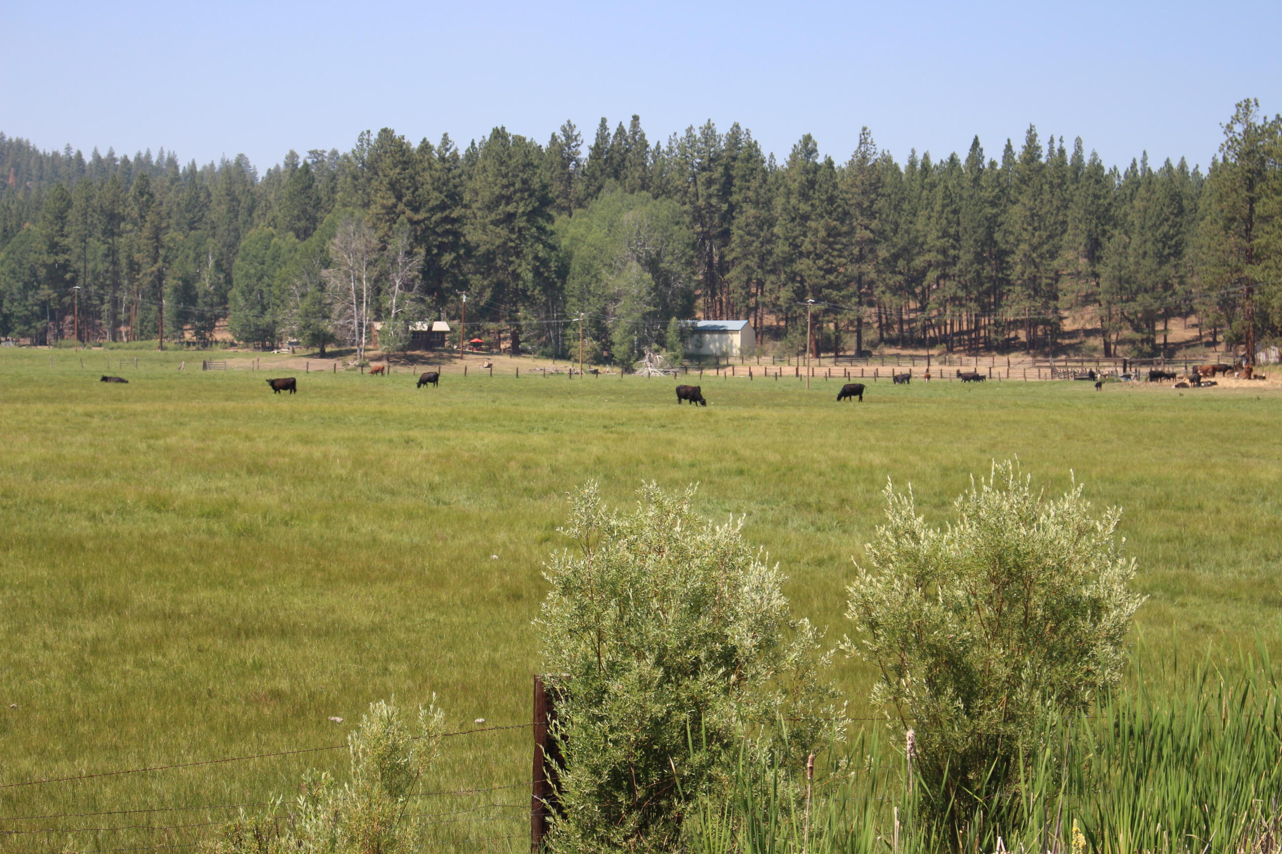 Chiloquin - Farm