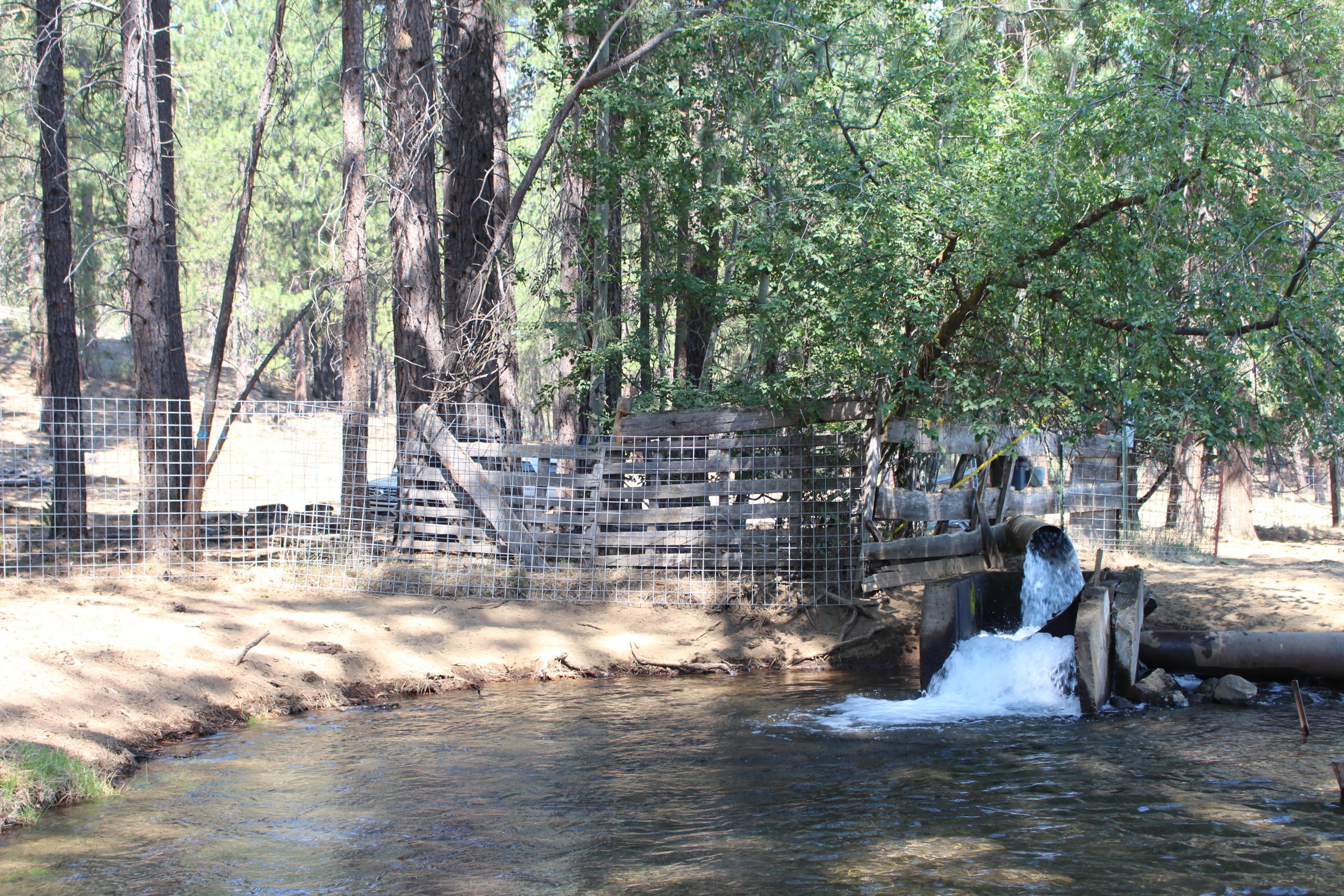 Chiloquin - Farm