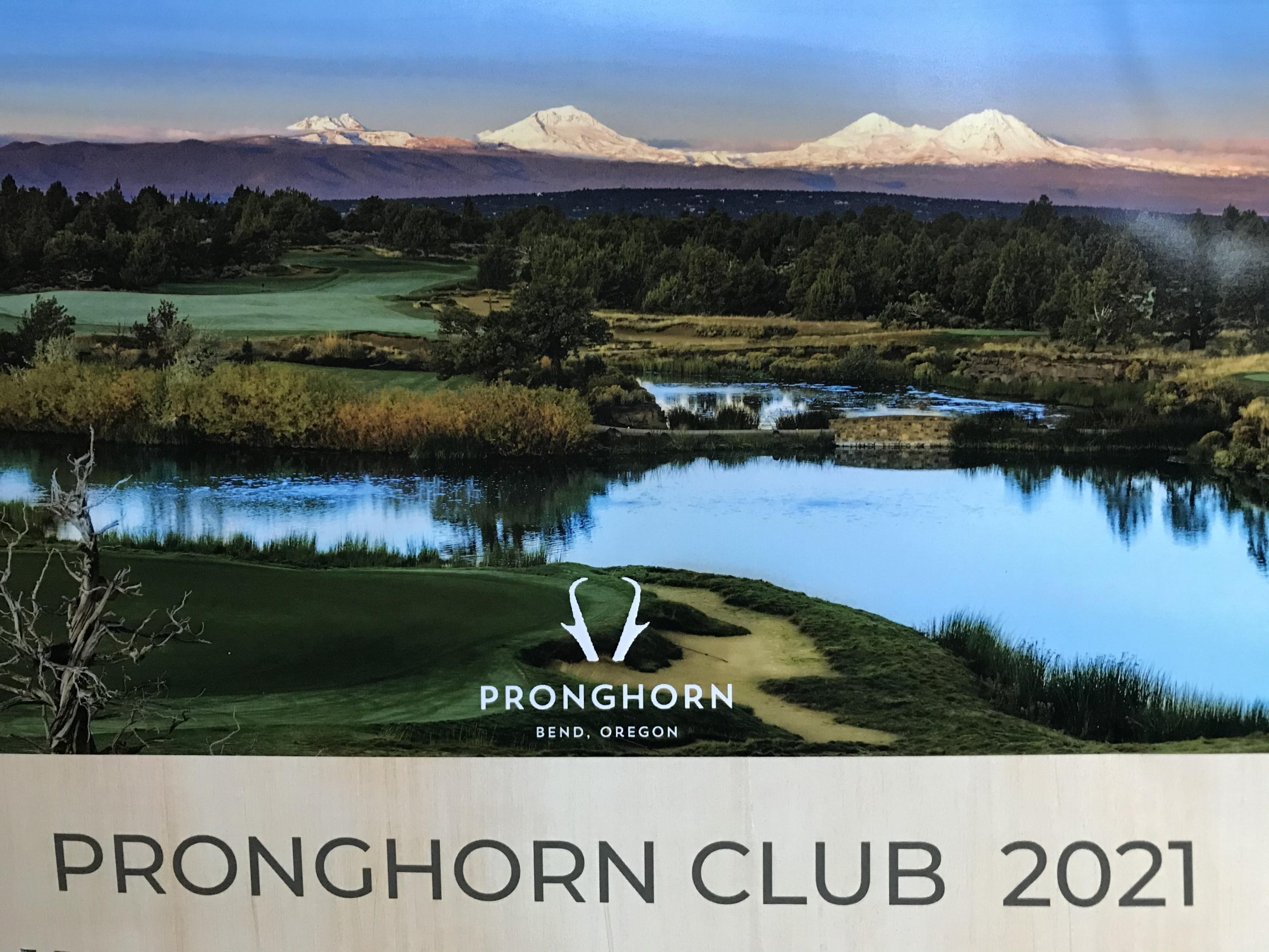 Pronghorn - Land