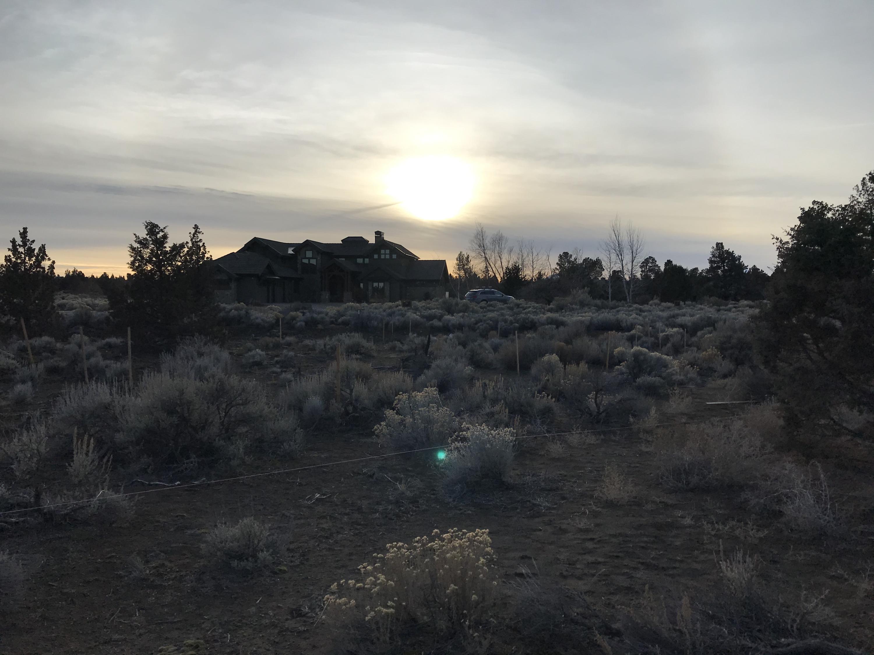 Pronghorn - Land
