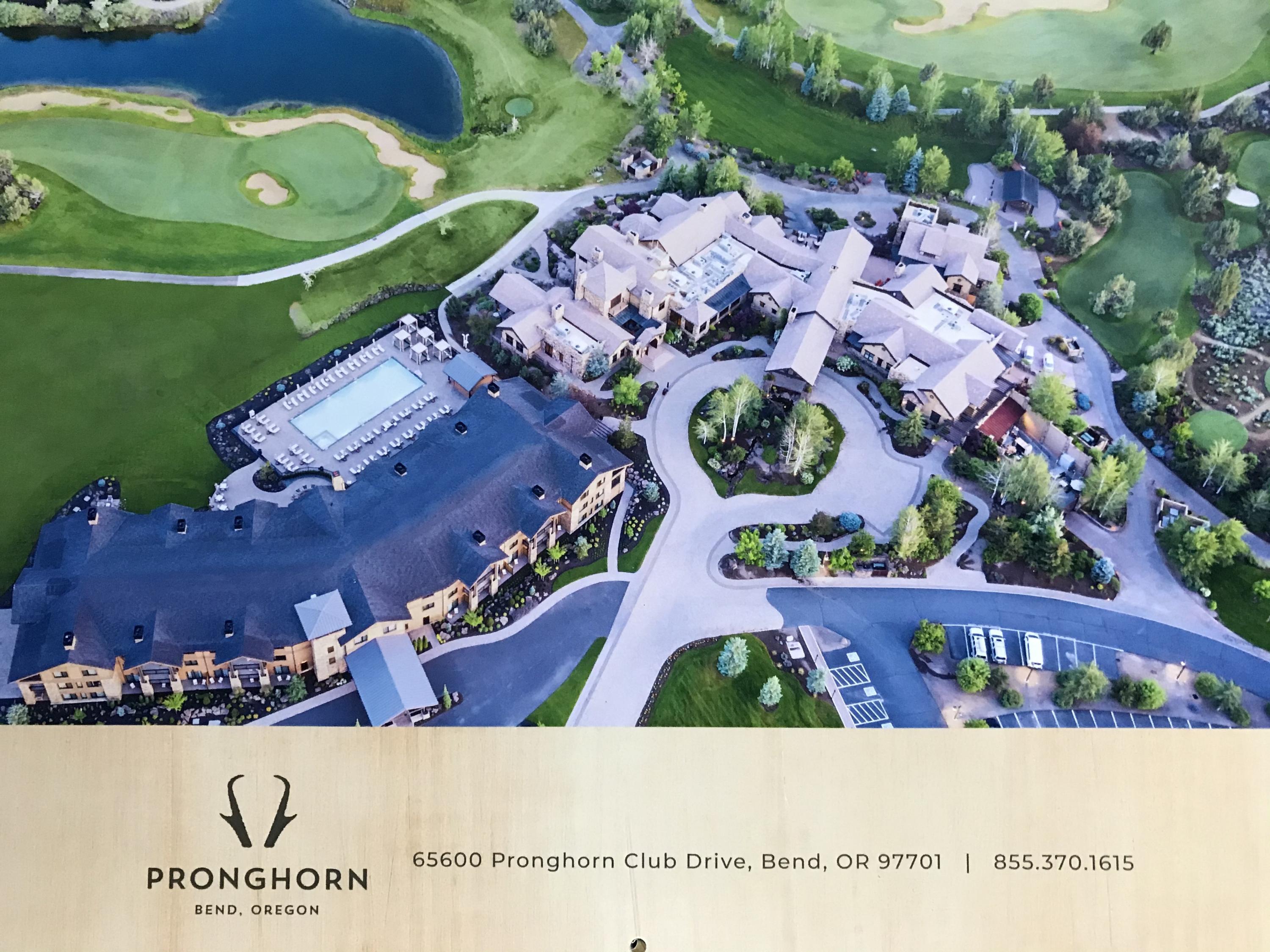 Pronghorn - Land