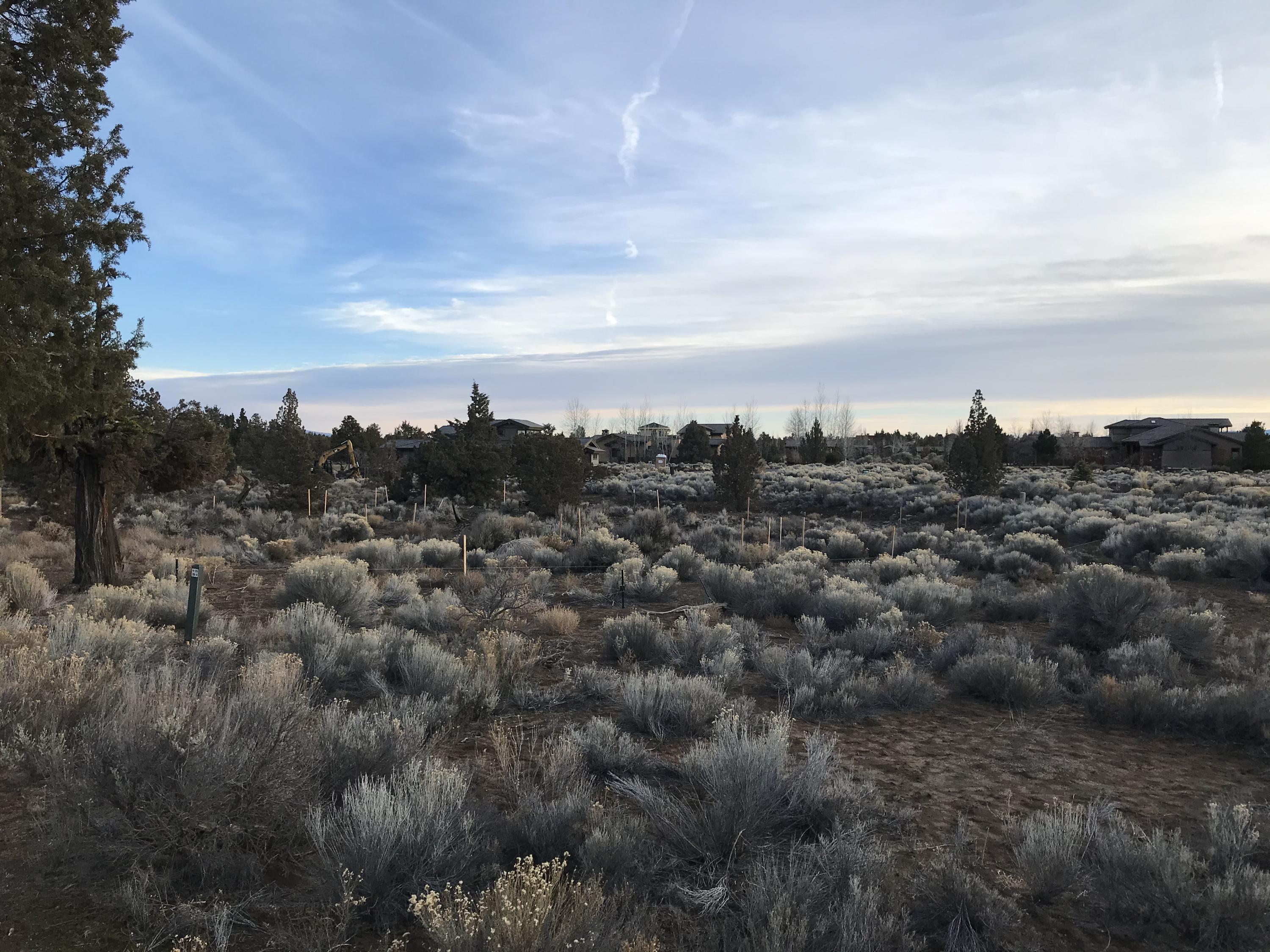 Pronghorn - Land