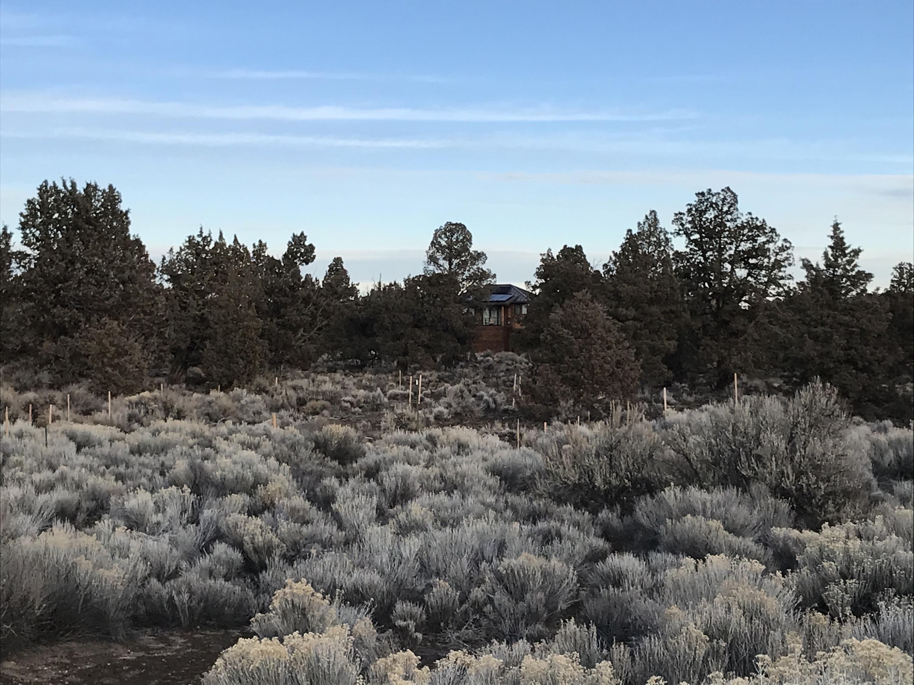 Pronghorn - Land