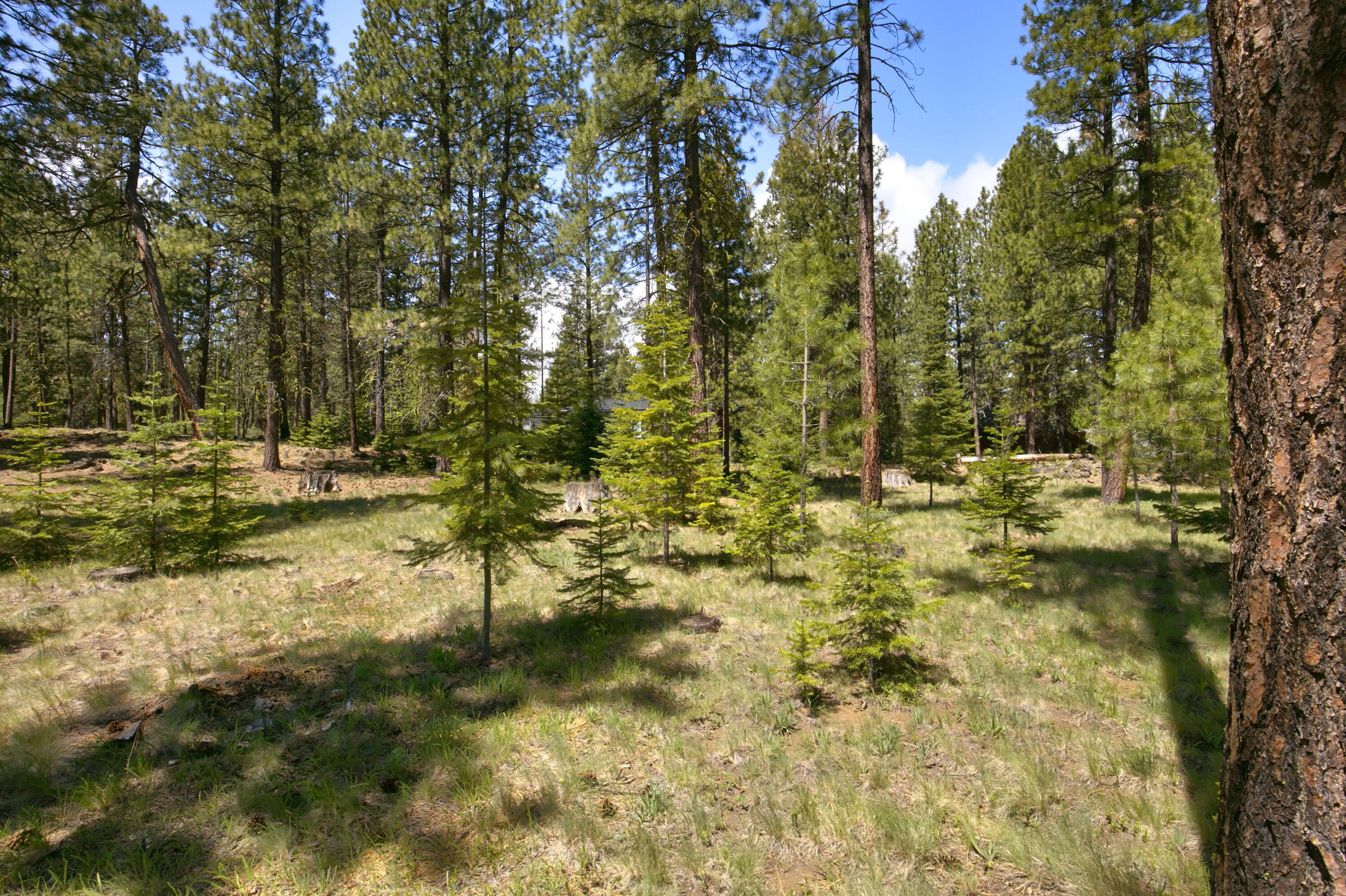 Glaze Meadow Homesite Section - Residential