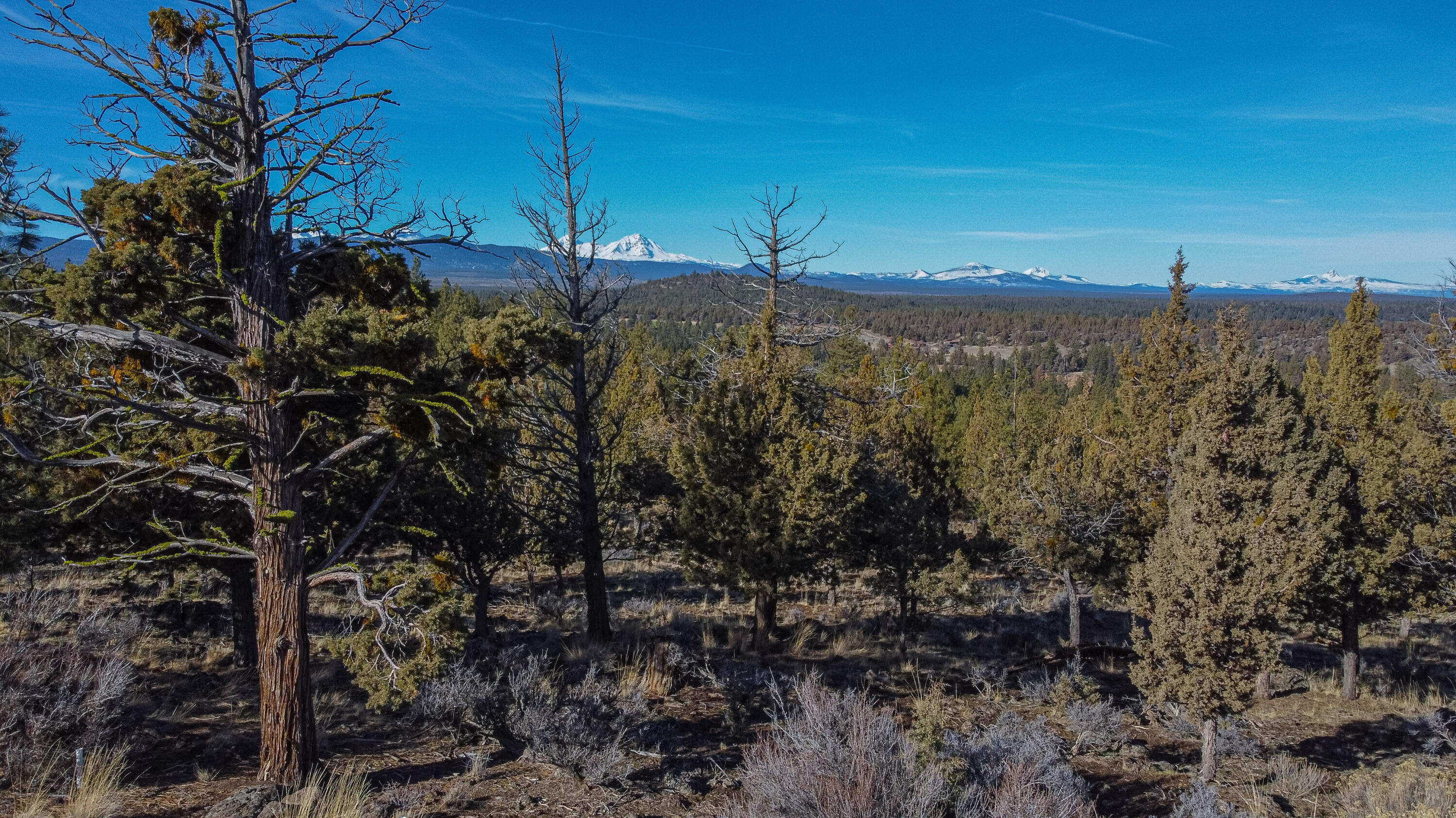North Rim - Land