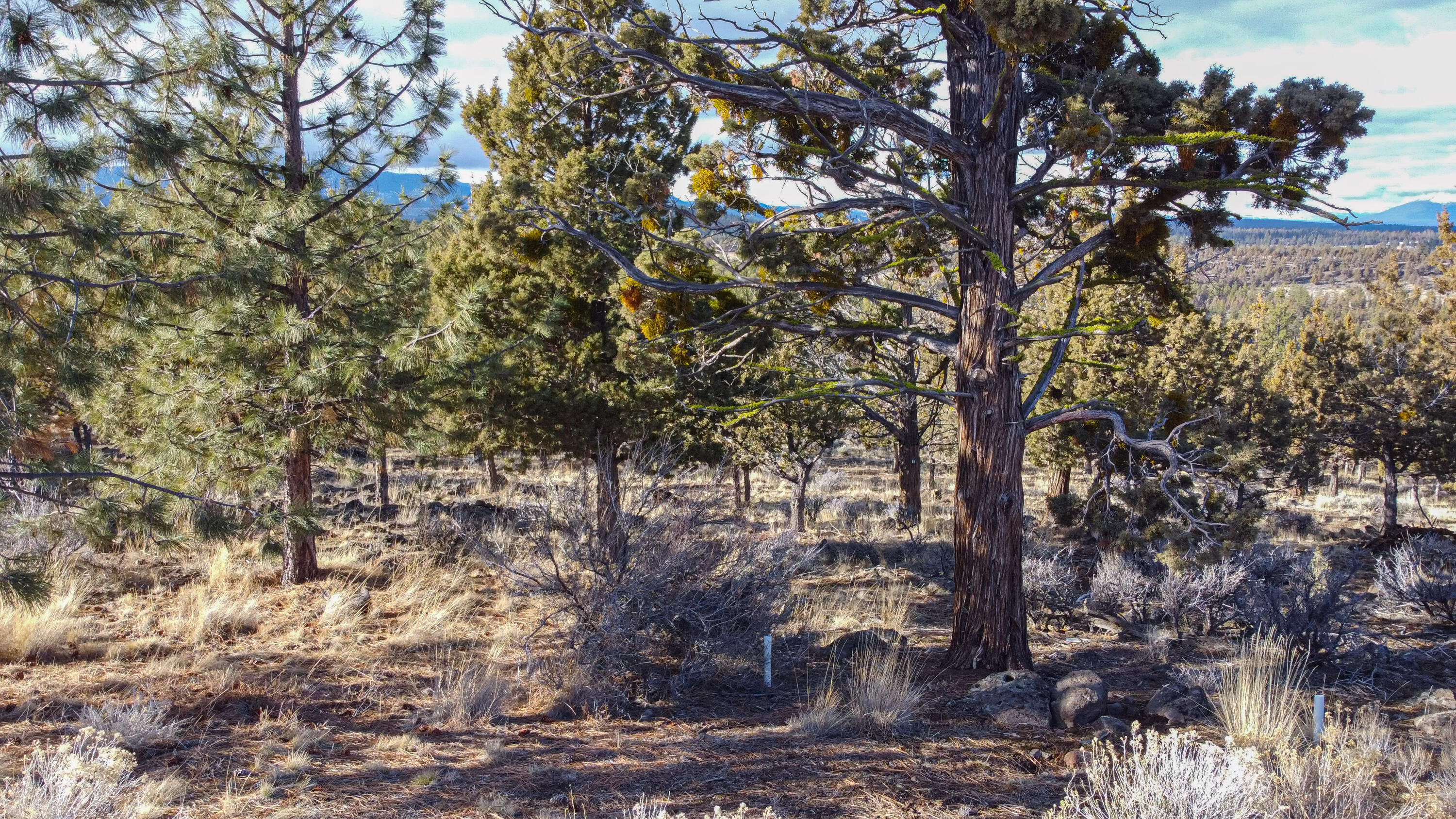 North Rim - Land