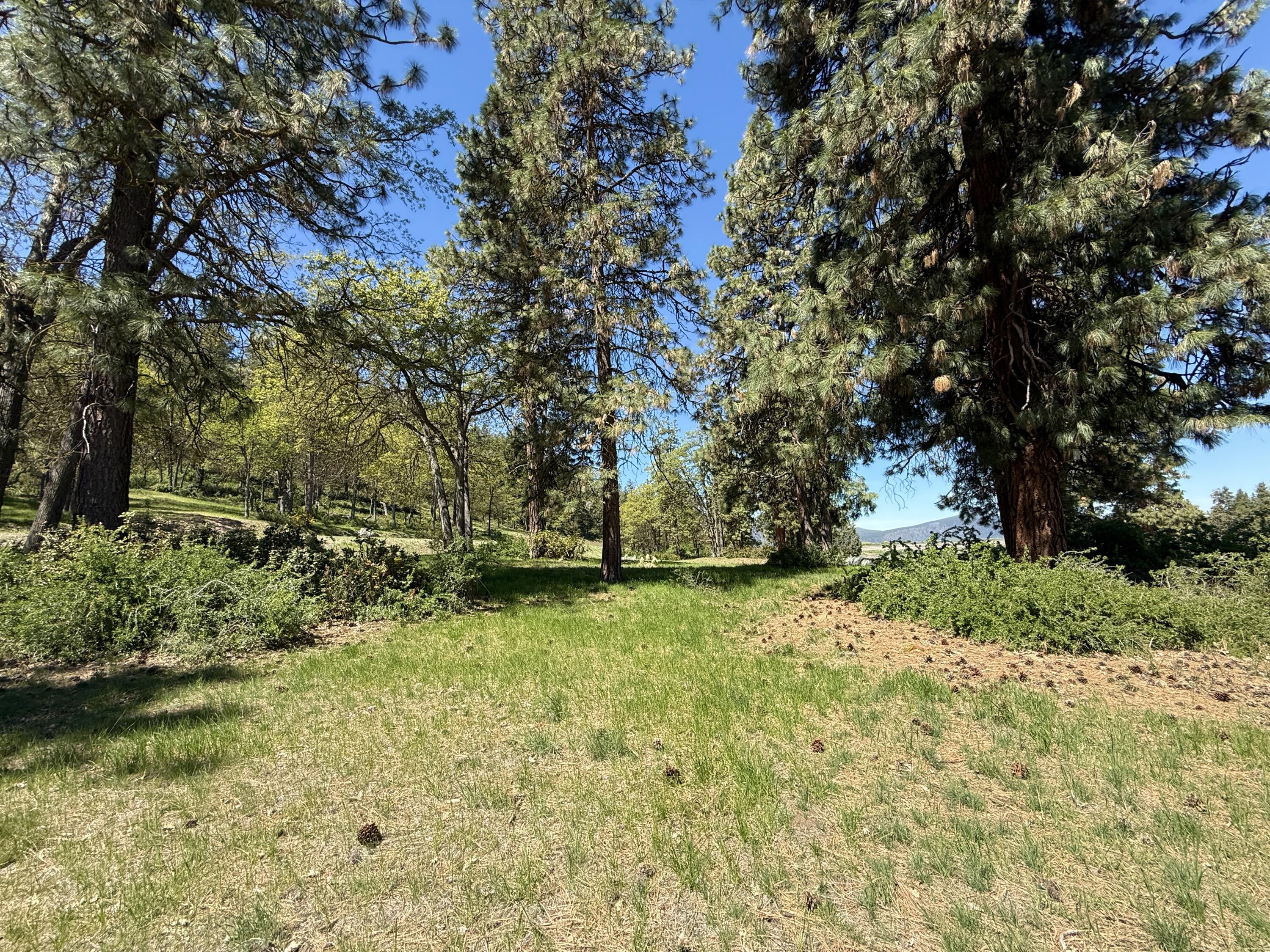 Running YResort - Land