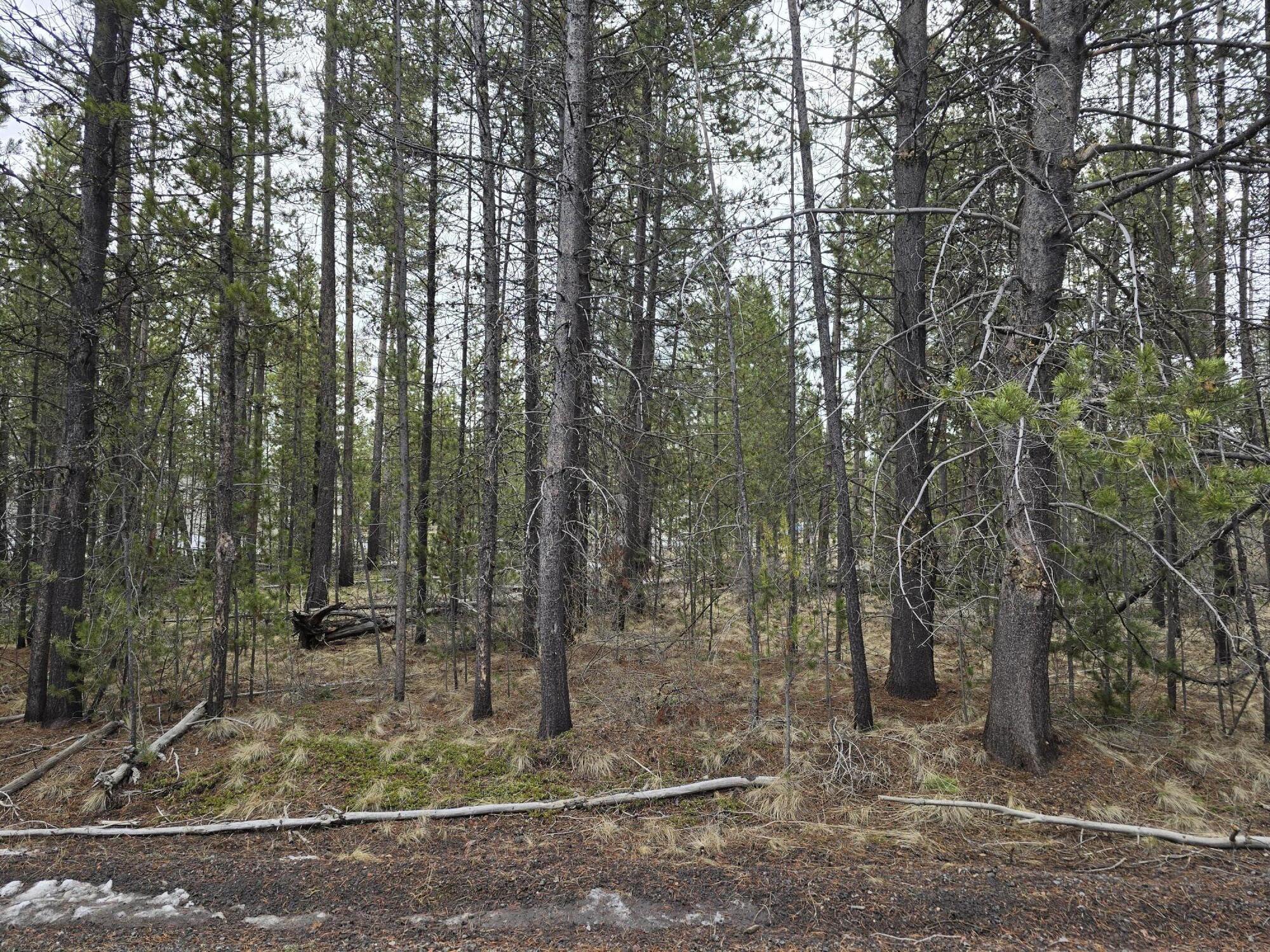 Deschutes River Recreation Homesites - Land