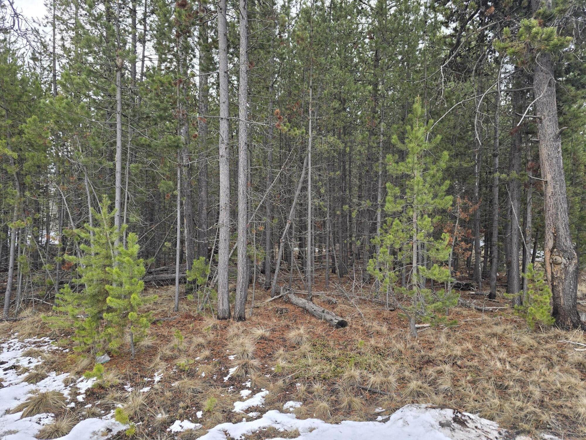 Deschutes River Recreation Homesites - Land