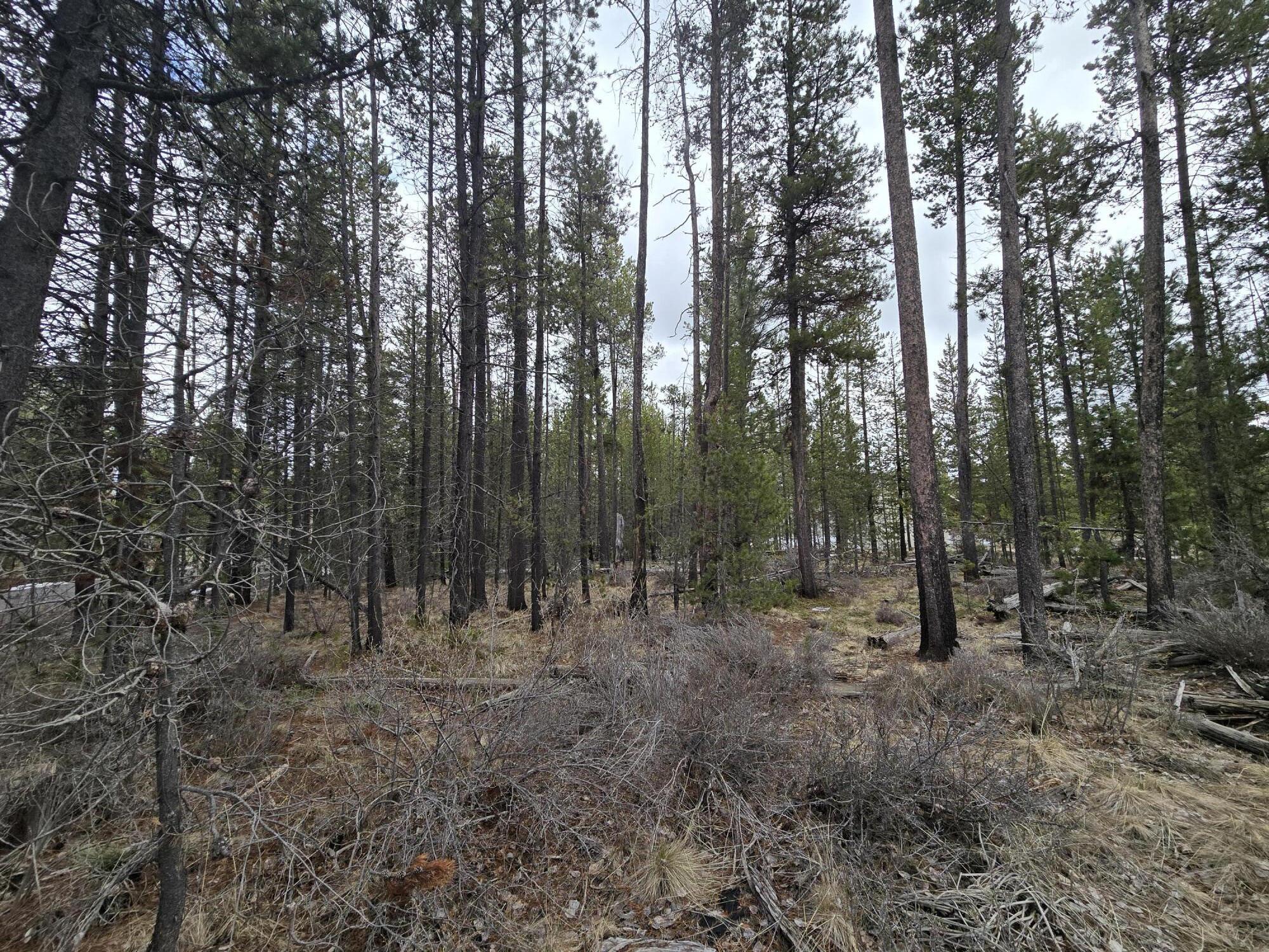 Deschutes River Recreation Homesites - Land