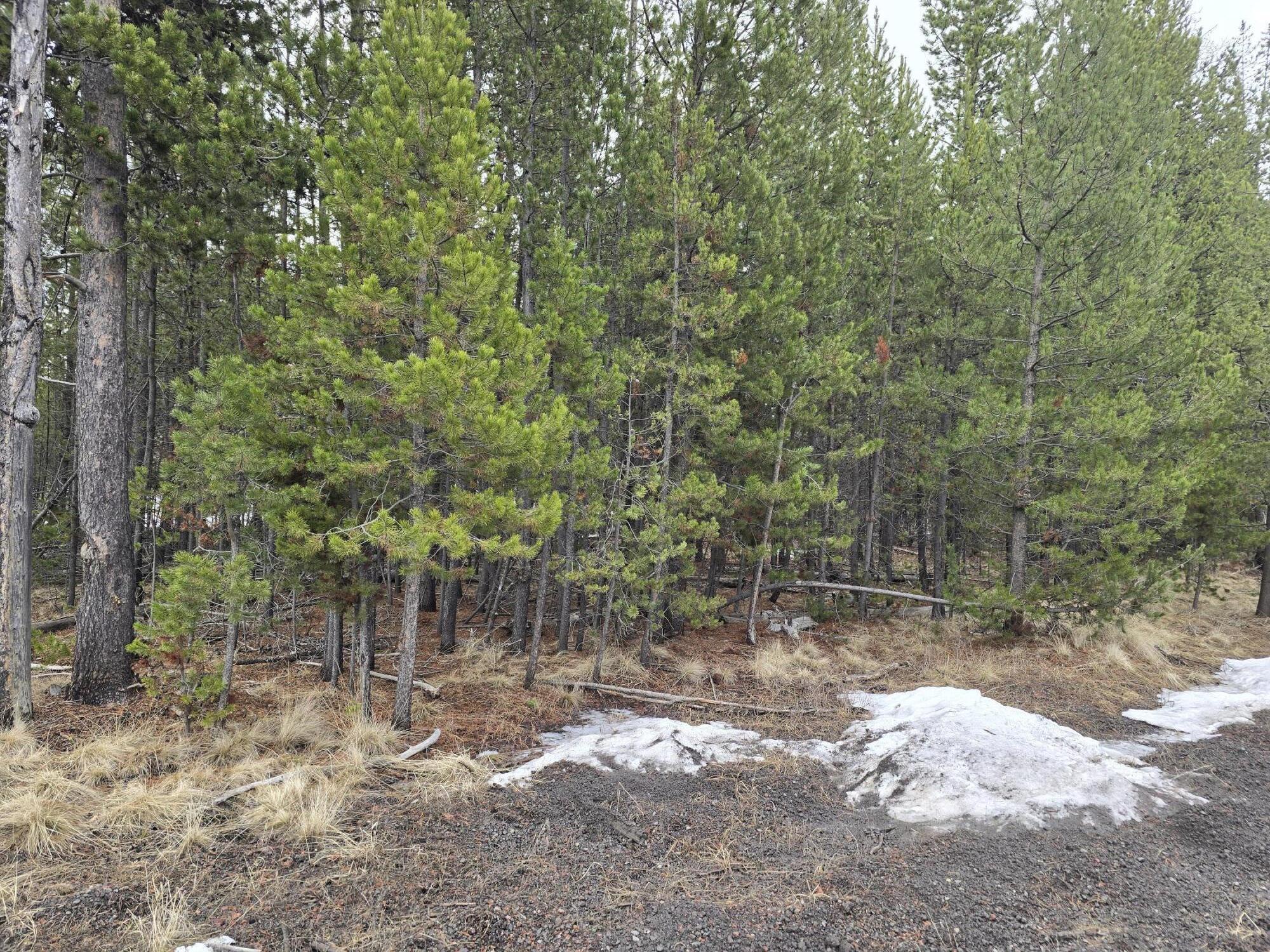 Deschutes River Recreation Homesites - Land