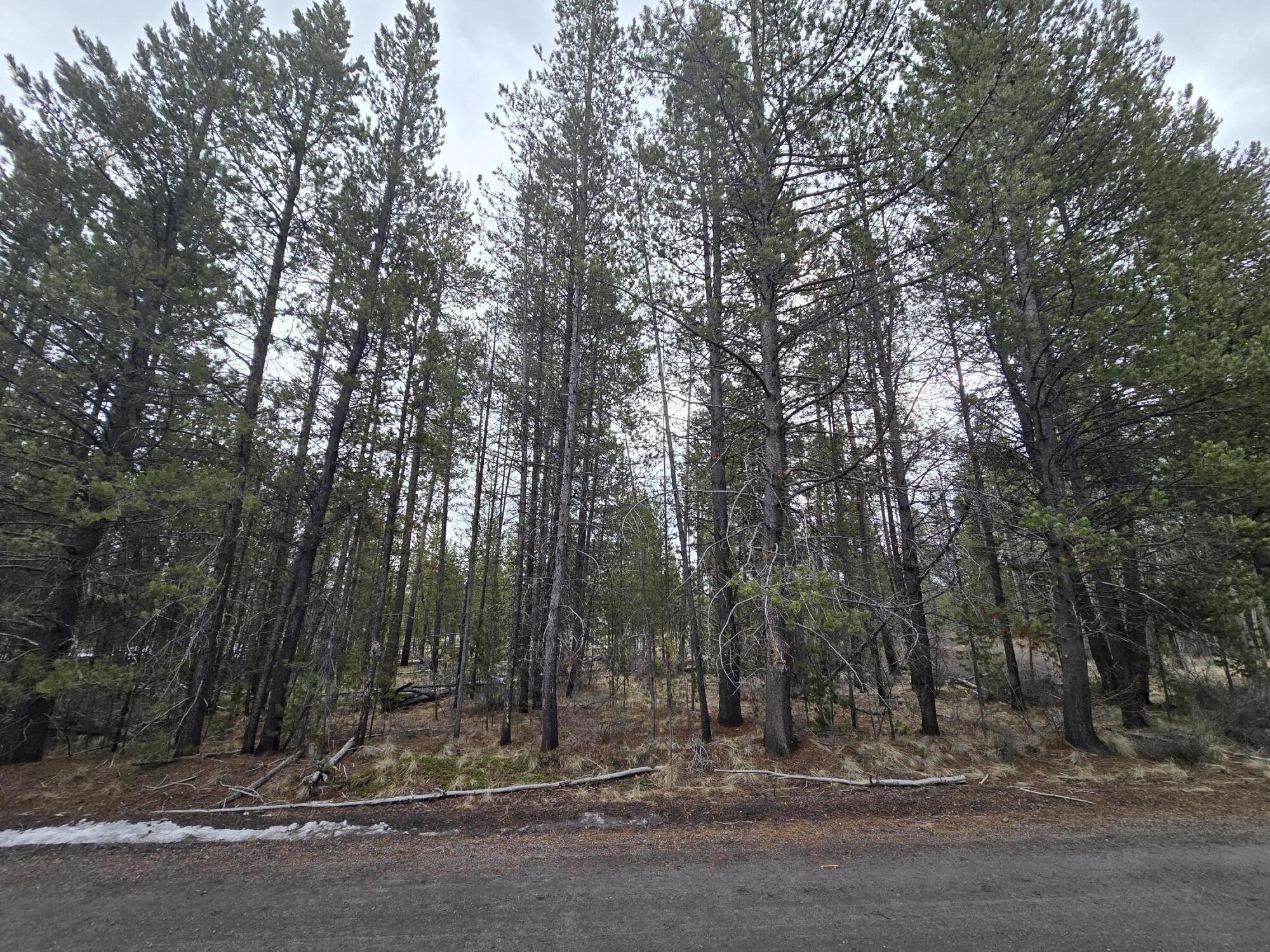 Deschutes River Recreation Homesites - Land