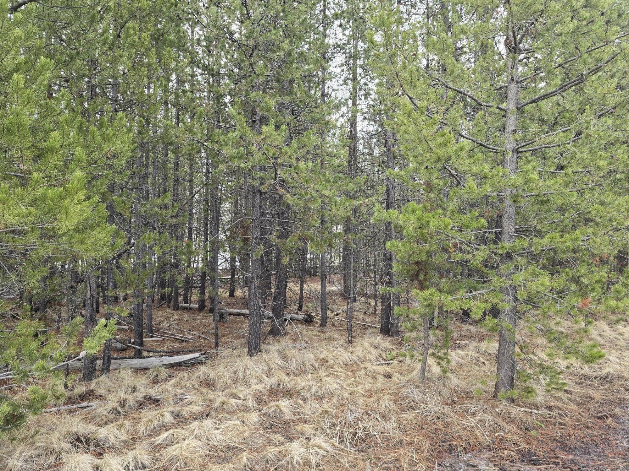 Create Your Dream Retreat Near Sunriver! This 0.51-acre corner lot in Deschutes River Recreation Homesites Unit 9 is a rare find! With a beautifully wooded setting and fairly level terrain, this parcel is ready for your vision. Enjoy the perks of an exclusive community river access point, giving you direct entry to the scenic Deschutes River. Just minutes to Sunriver or public land, or a short drive to Bend! A fantastic location for those who love Central Oregon, or spending time in the great outdoors—act now before it's gone!