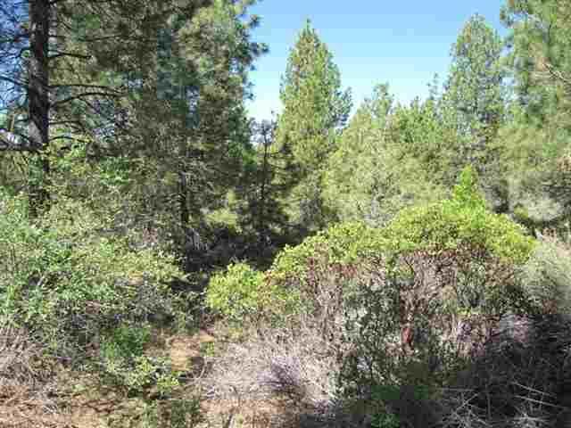 Nice Residential Lot In The Pines. Nice View, Nice Graveled And Maintained Road With Power Nearby! Very Motivated Seller!
