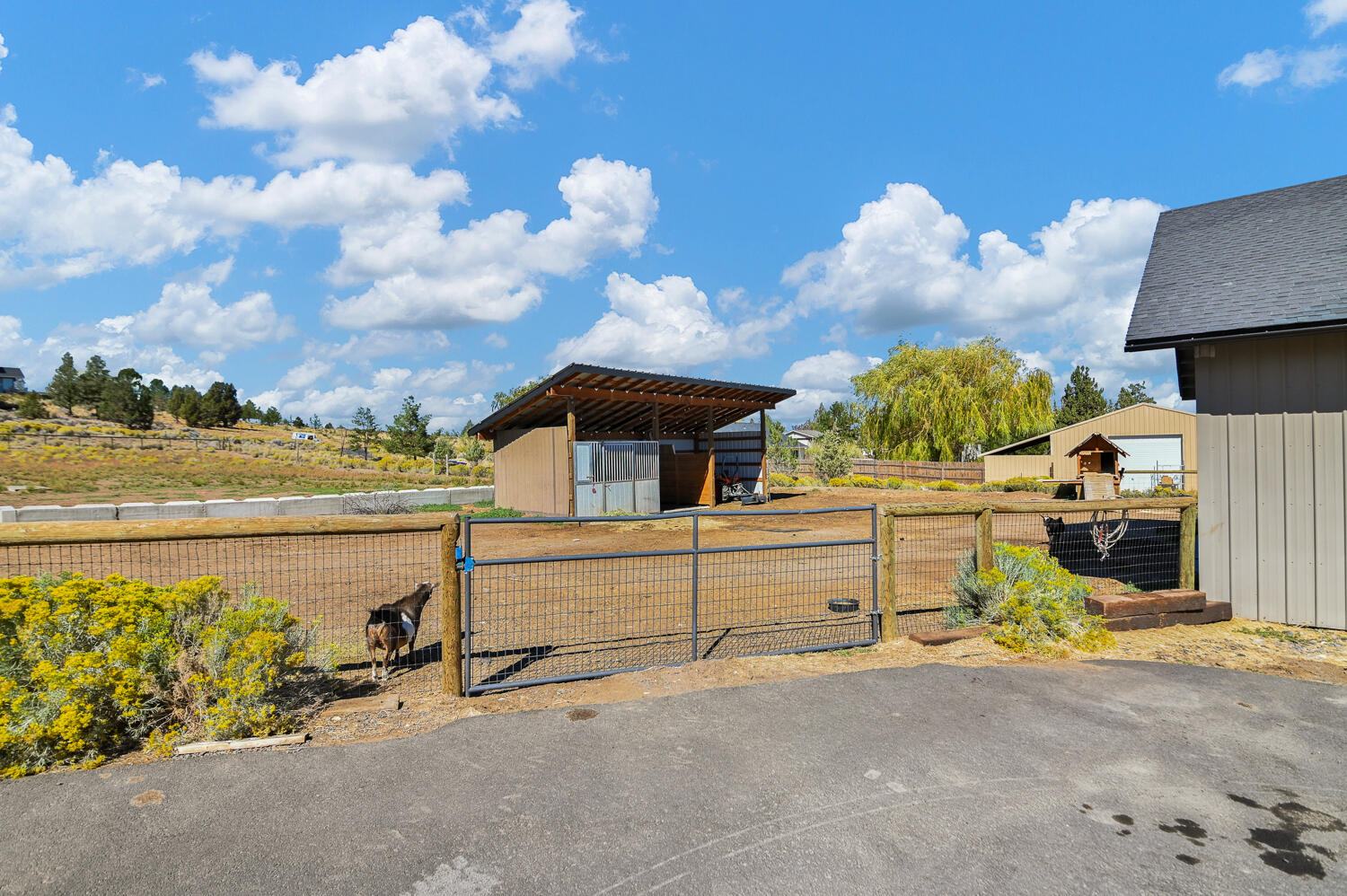 Sundance East - Residential