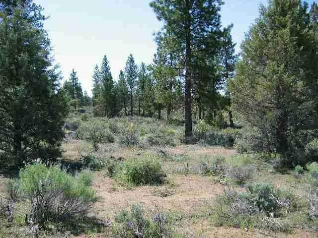 Nice Area In The Pines. Level To Rolling Lots W/Great Homesites. A Quiet Retreat. Power At Lot Line. Purchase Both 2.38 Acre Lots (Total 4.76 Acre) For $13,800 Or One 2.38 Acre Lot For $11,800.