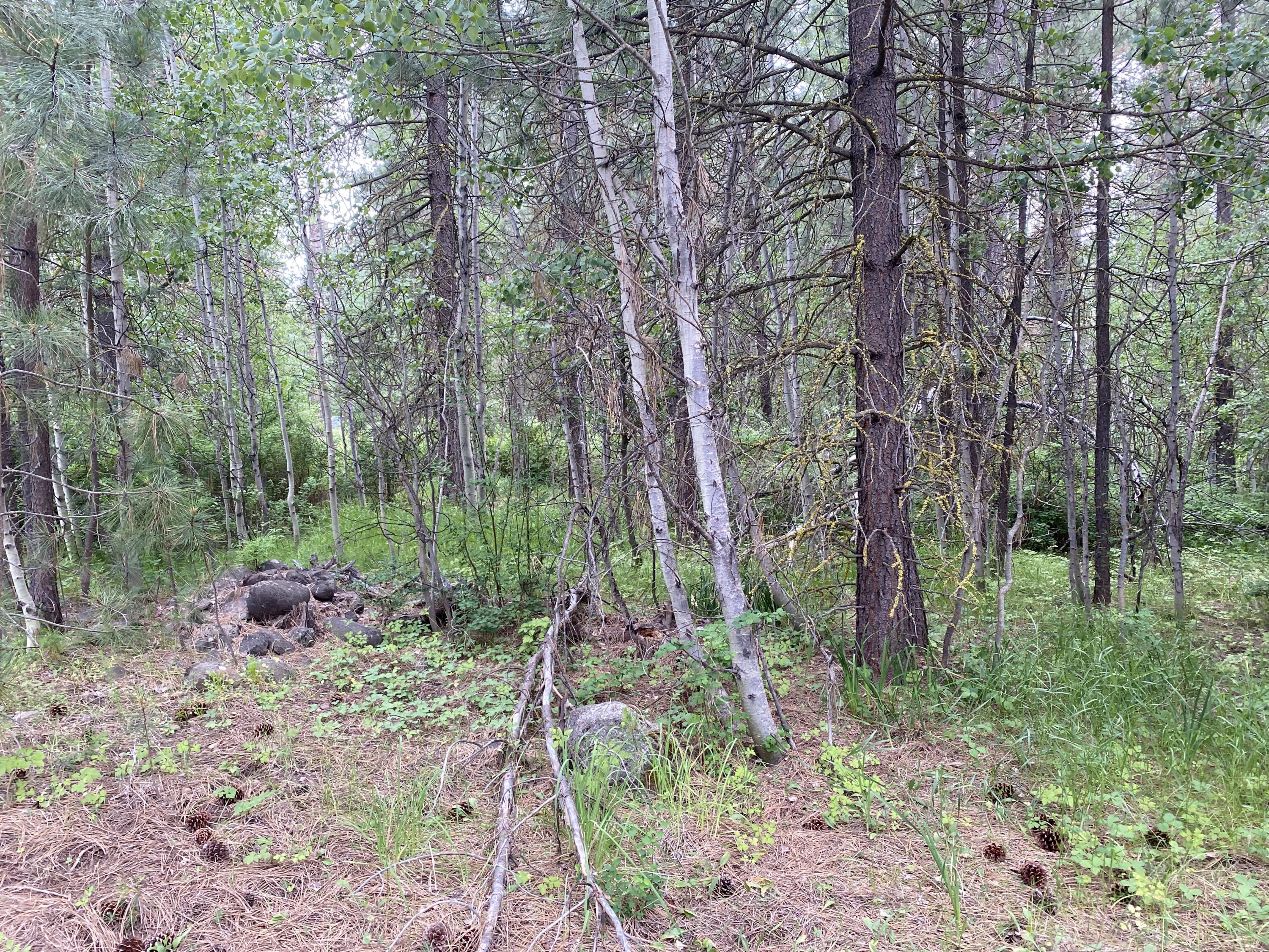 Mountain Lakes Homesites - Land