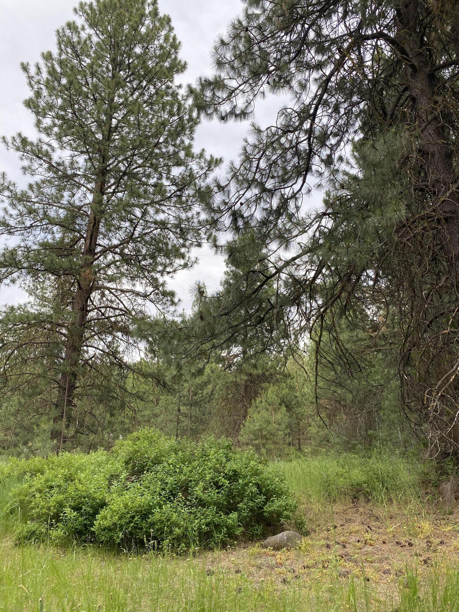 Mountain Lakes Homesites - Land
