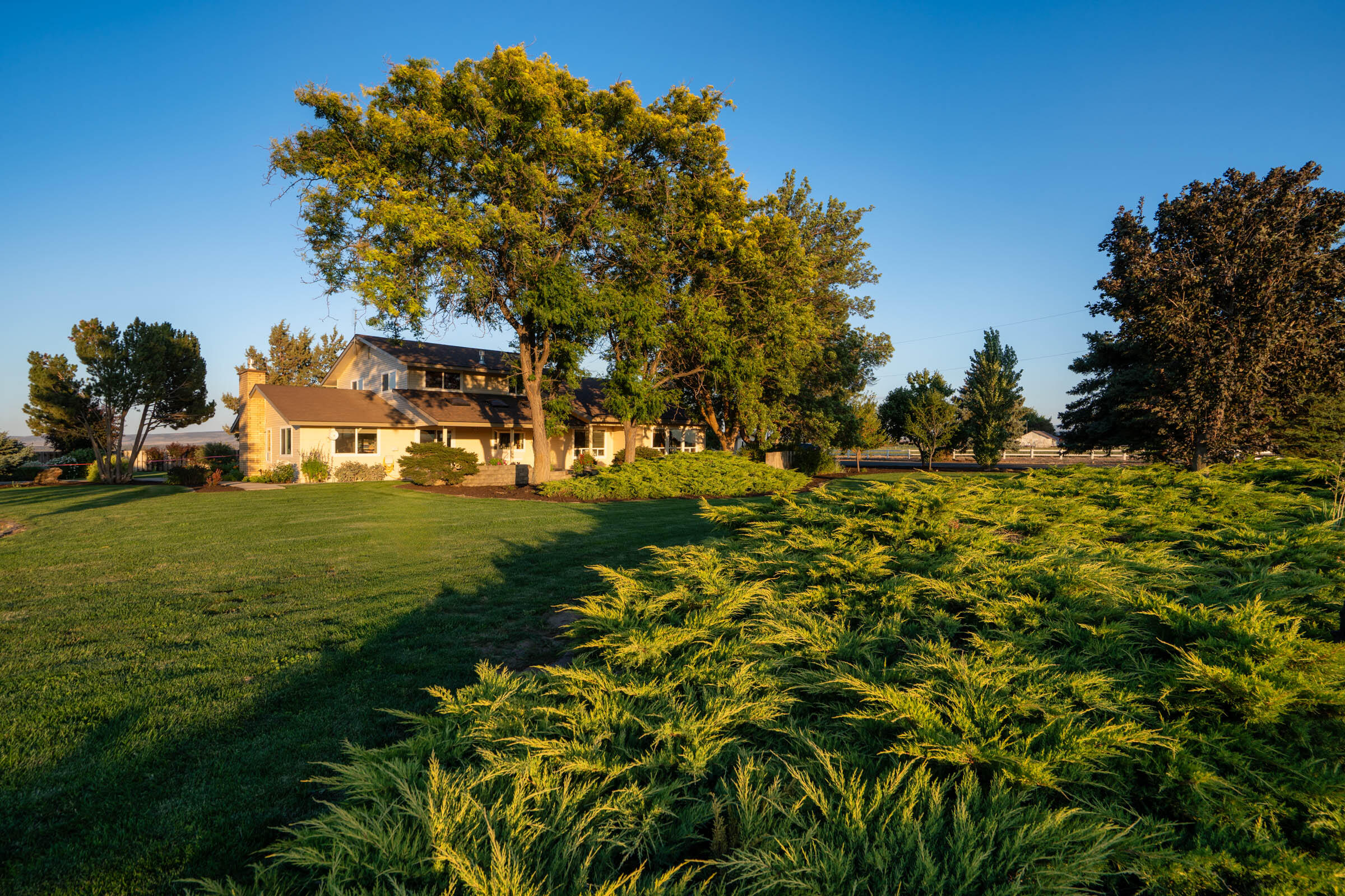 CLAJ - Farm