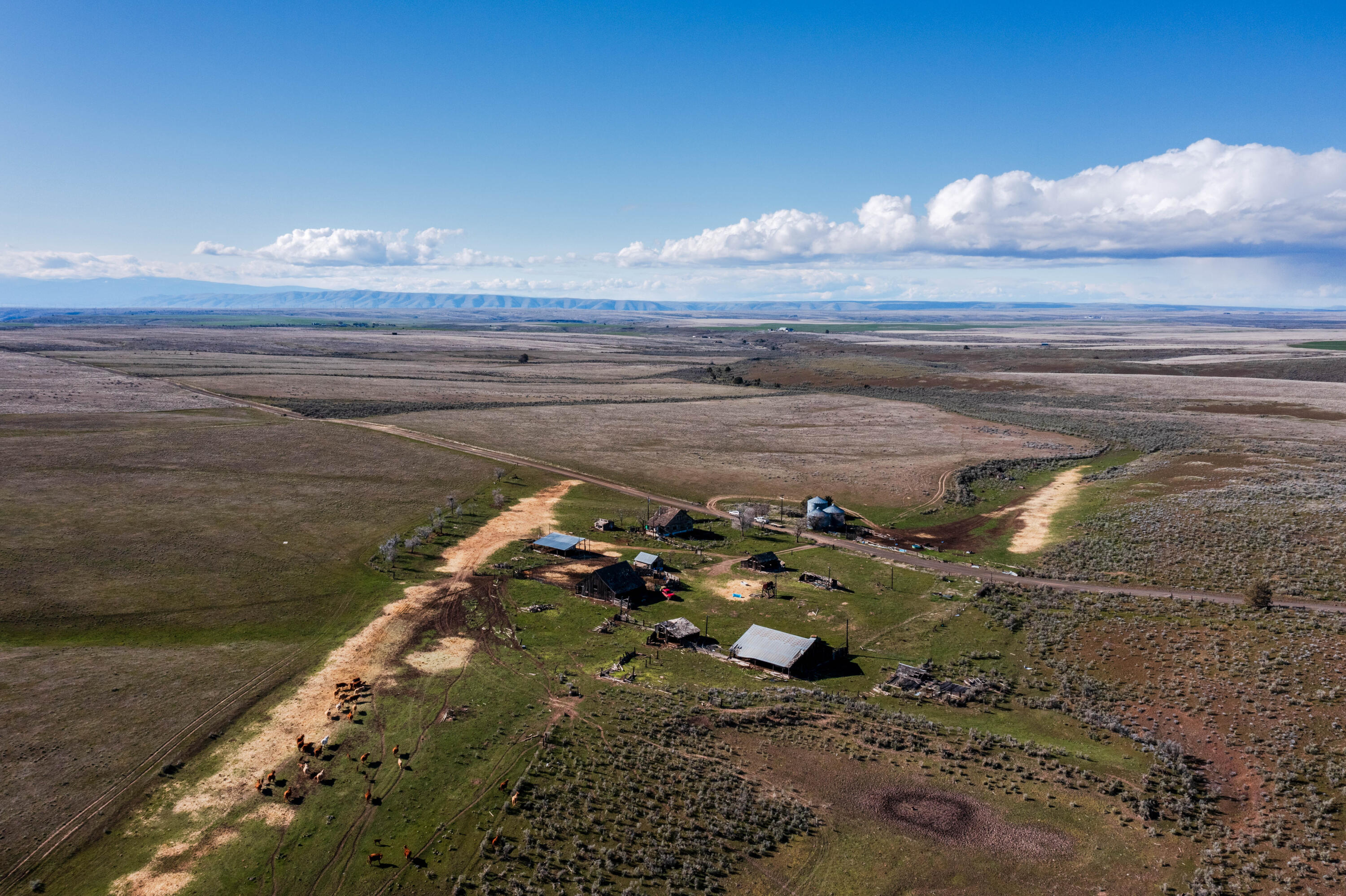 N/A - Farm