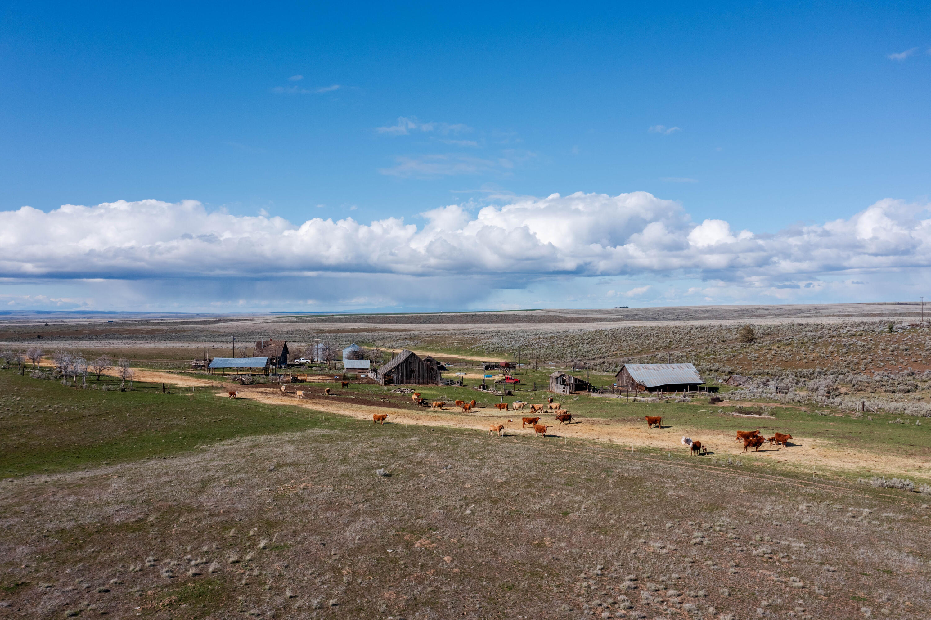 N/A - Farm